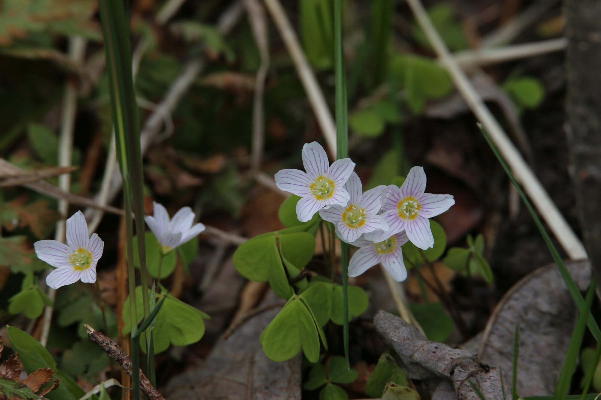 Valokuvaaja: Jaana Saarelainen Valokuvaaja: Jaana Saarelainen