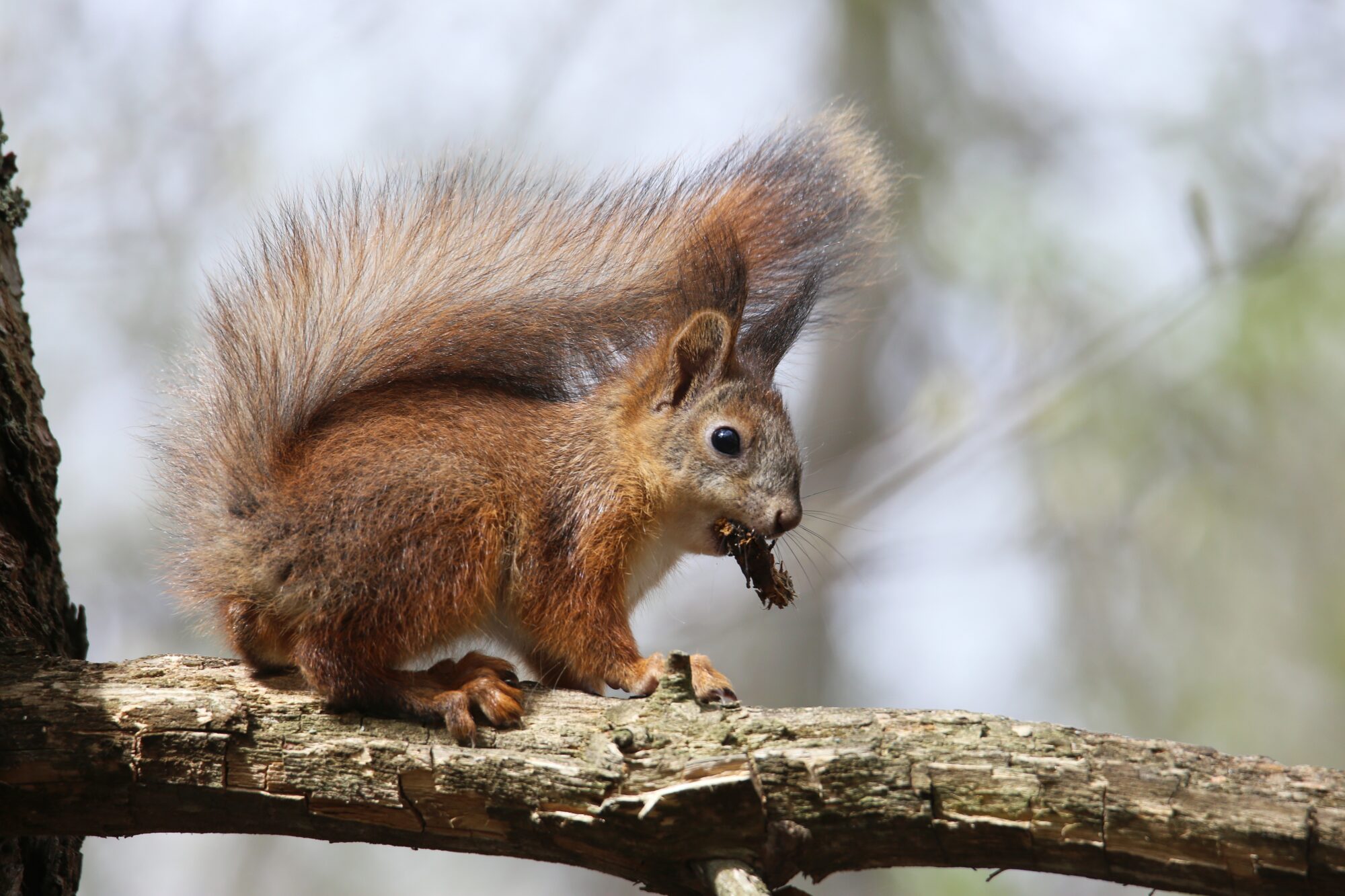 Valokuvaaja: Jaana Saarelainen