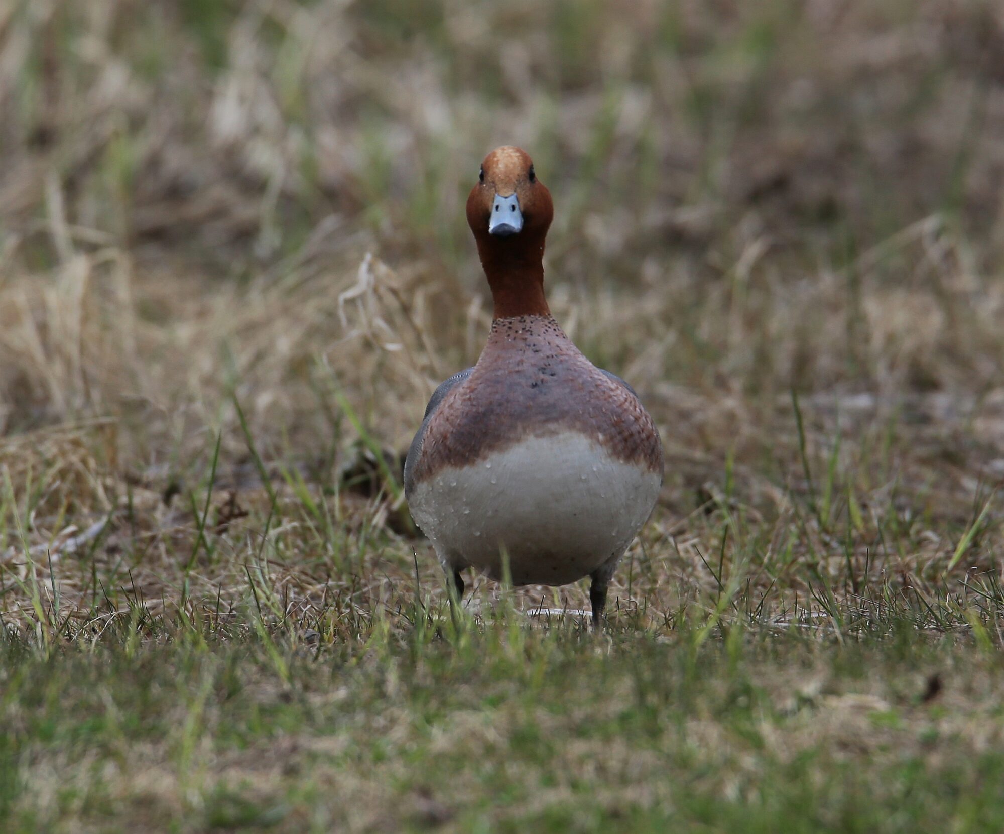 Valokuvaaja: Jaana Saarelainen