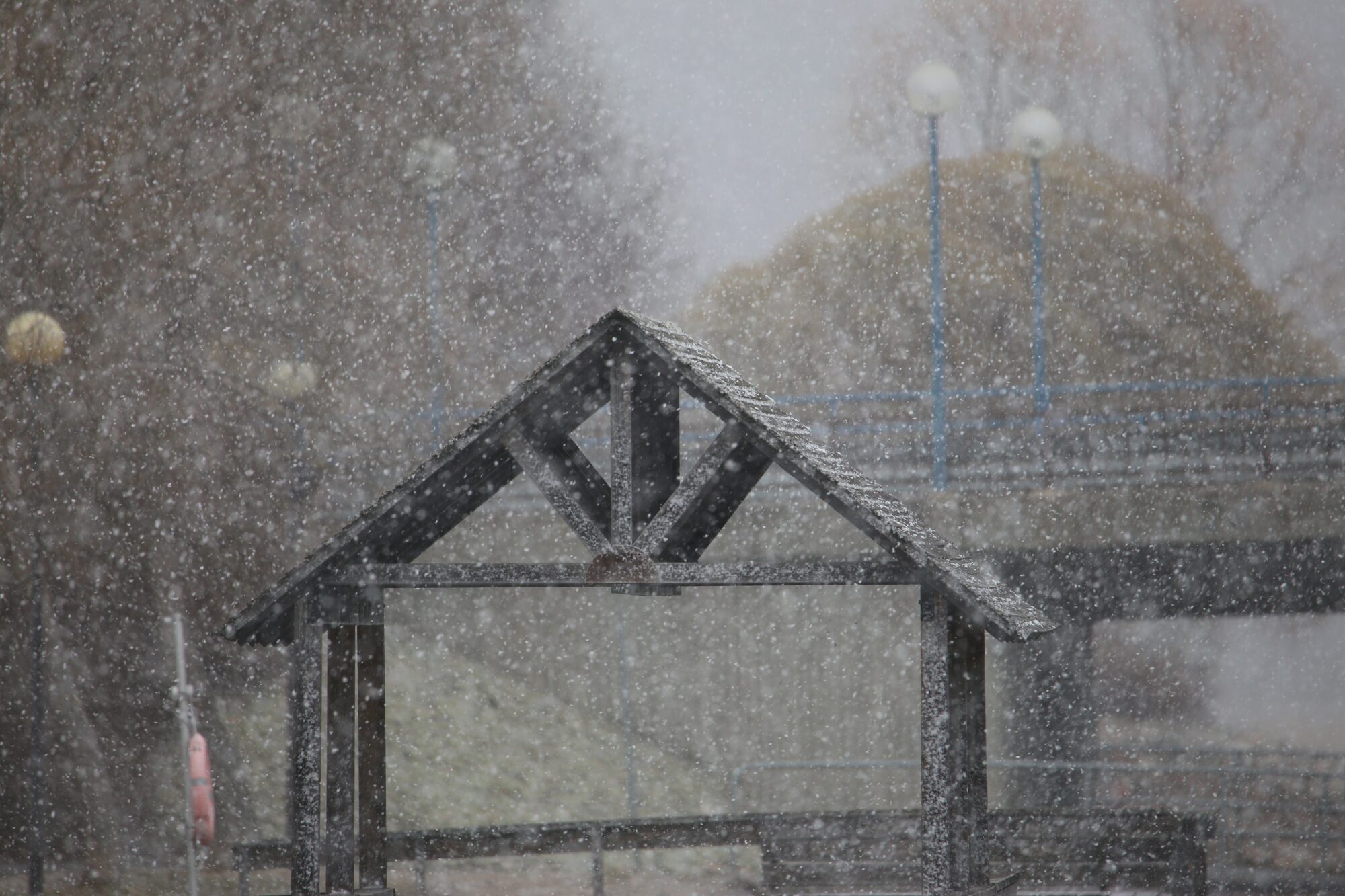 Valokuvaaja: Jaana Saarelainen
