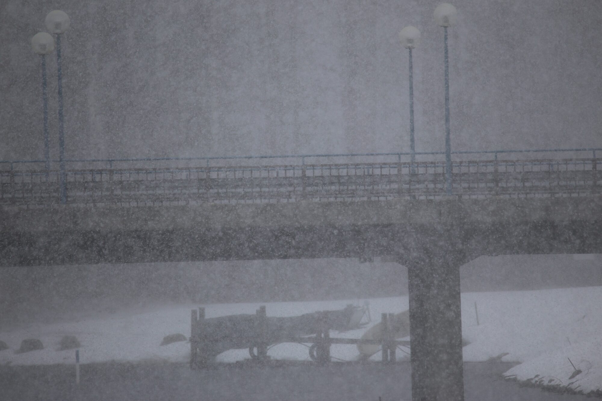 Valokuvaaja: Jaana Saarelainen