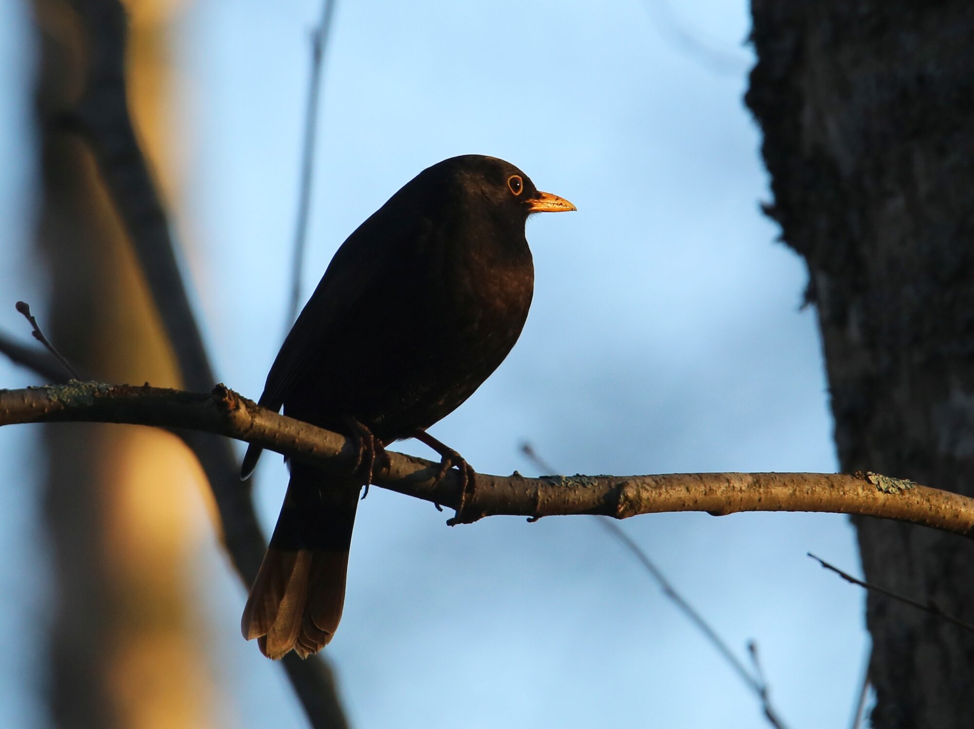 Valokuvaaja: Jaana Saarelainen
