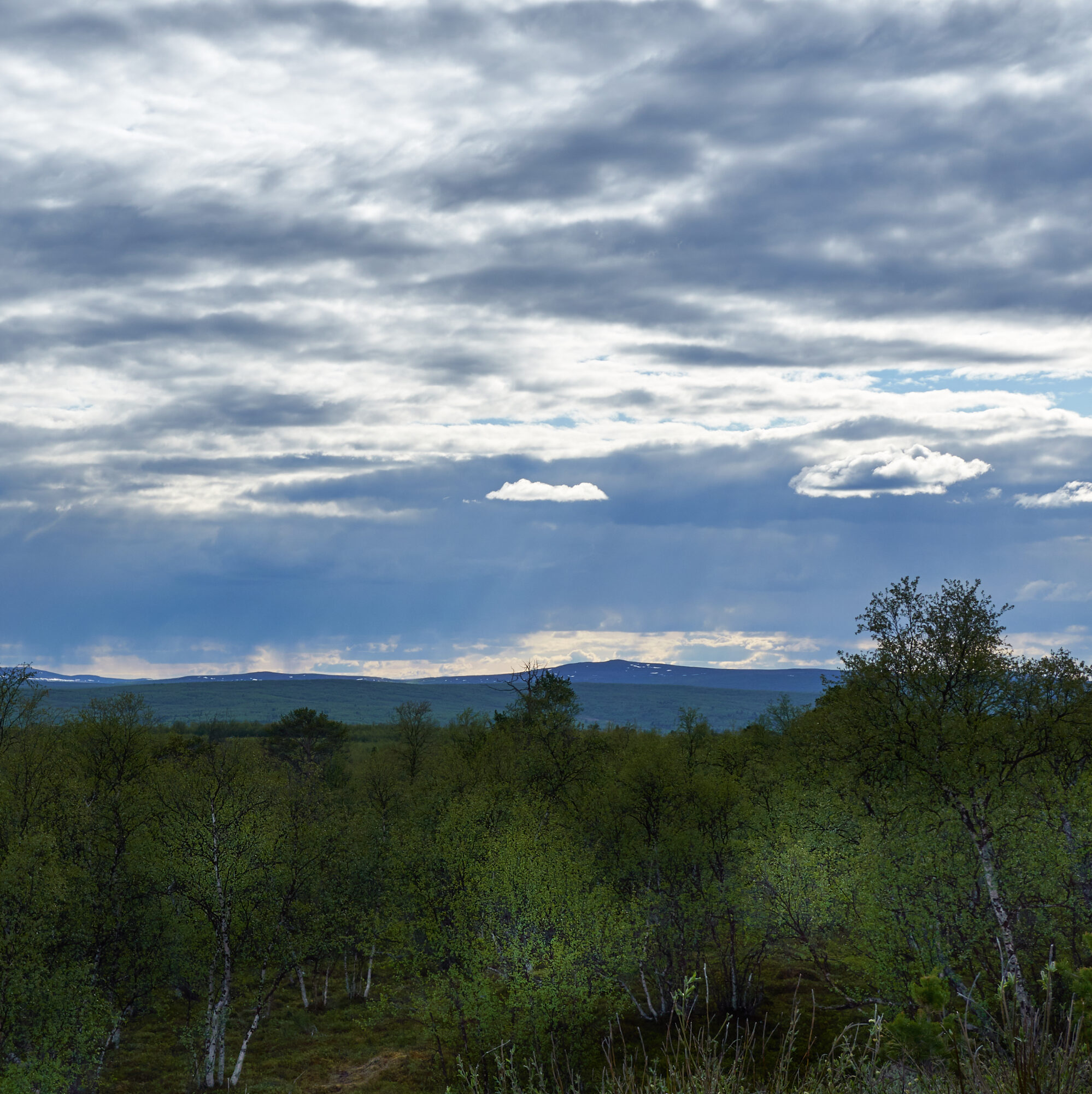 Valokuvaaja: Tarja Kouvo
