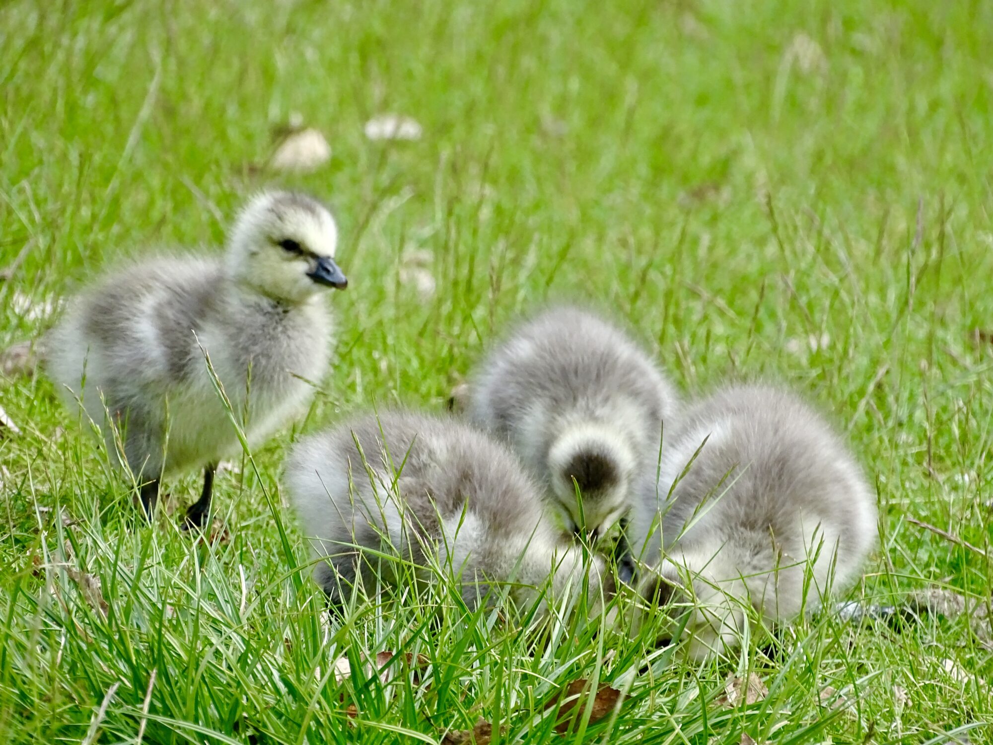Valokuvaaja: Juhani Peltonen