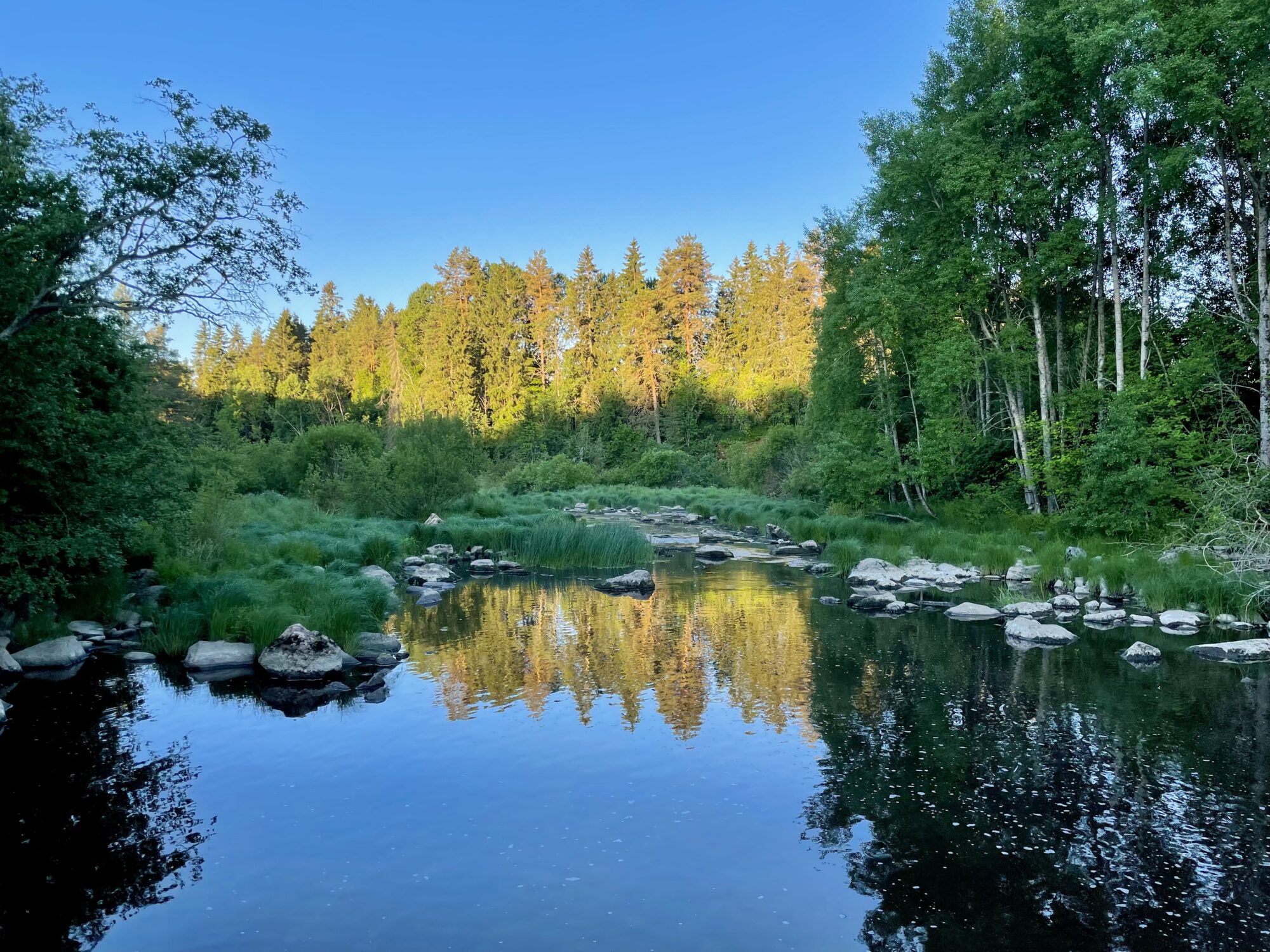 Valokuvaaja: Juhani Peltonen