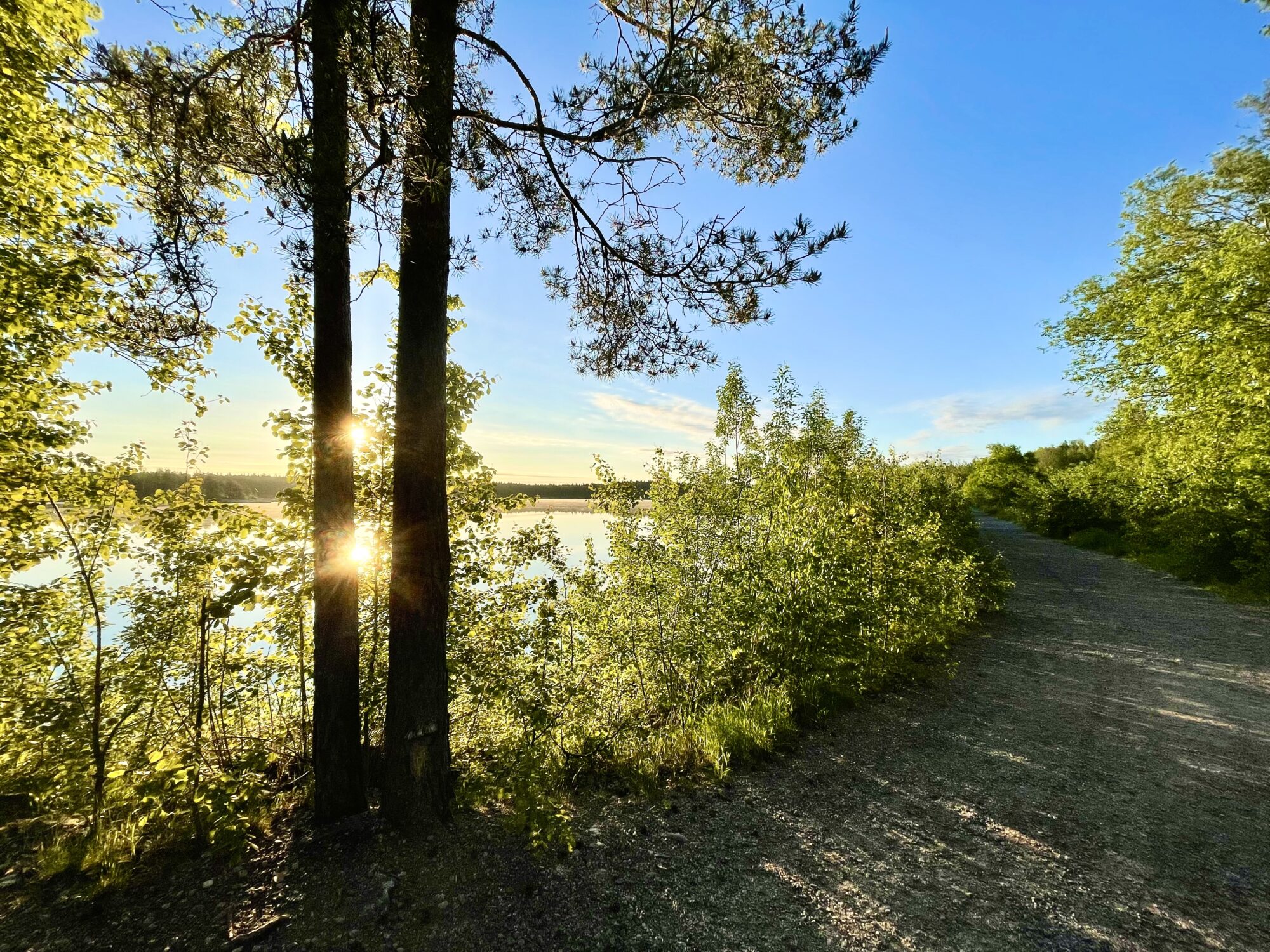 Valokuvaaja: Juhani Peltonen Valokuvaaja: Juhani Peltonen
