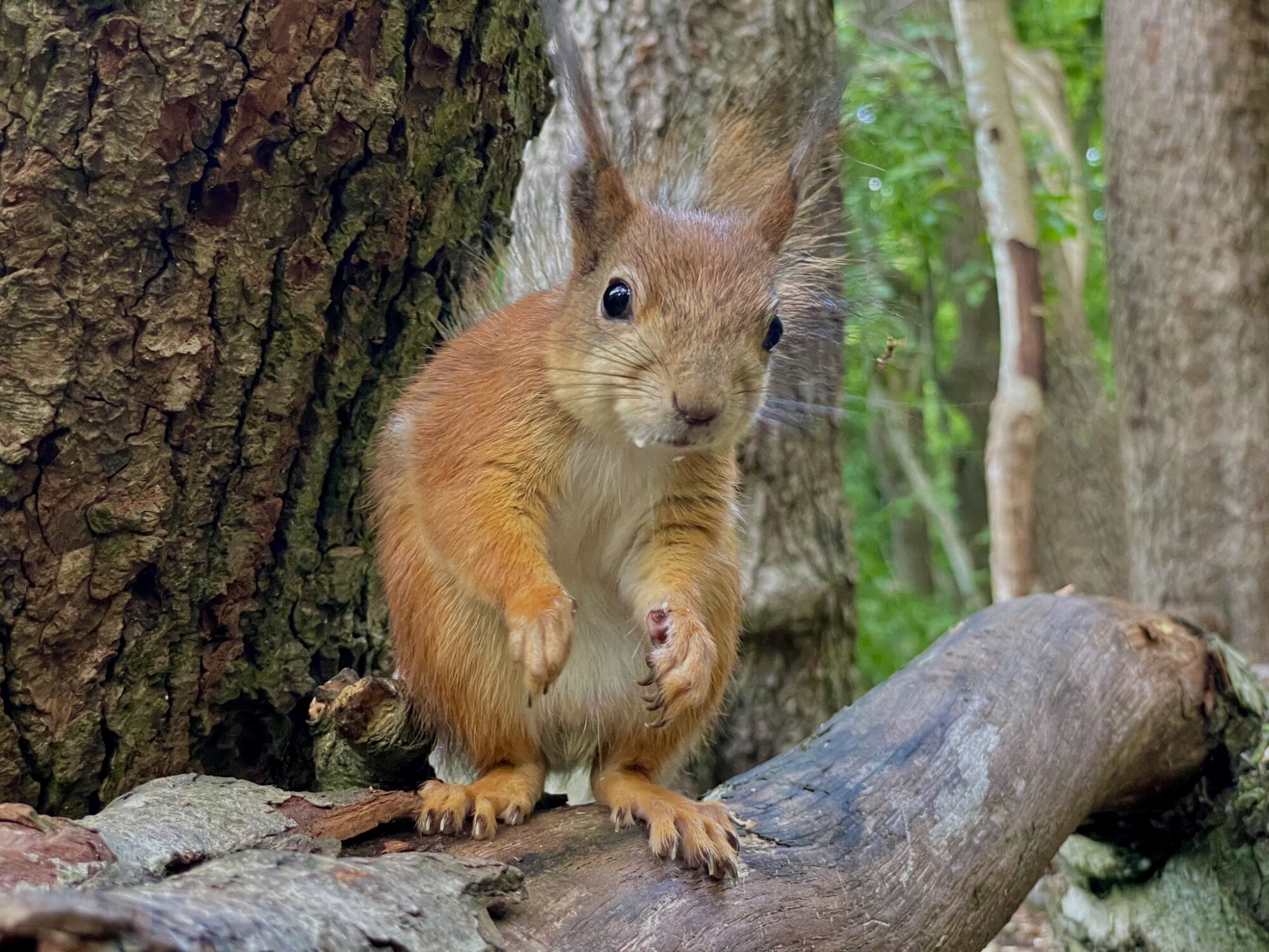Valokuvaaja: Juhani Peltonen