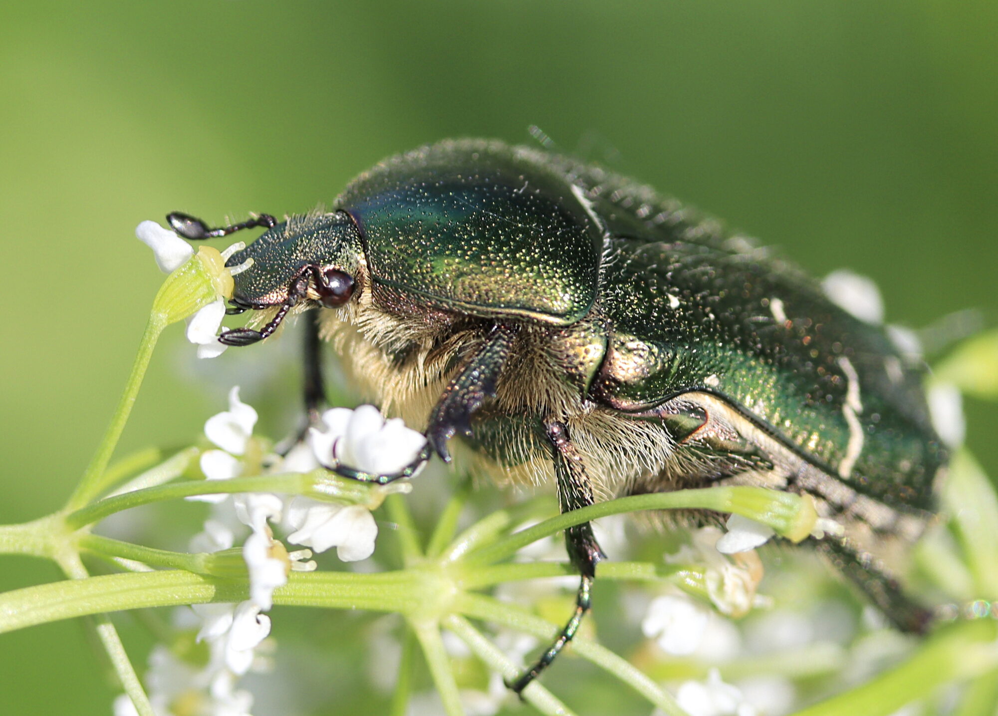Valokuvaaja: Ritva Nieminen