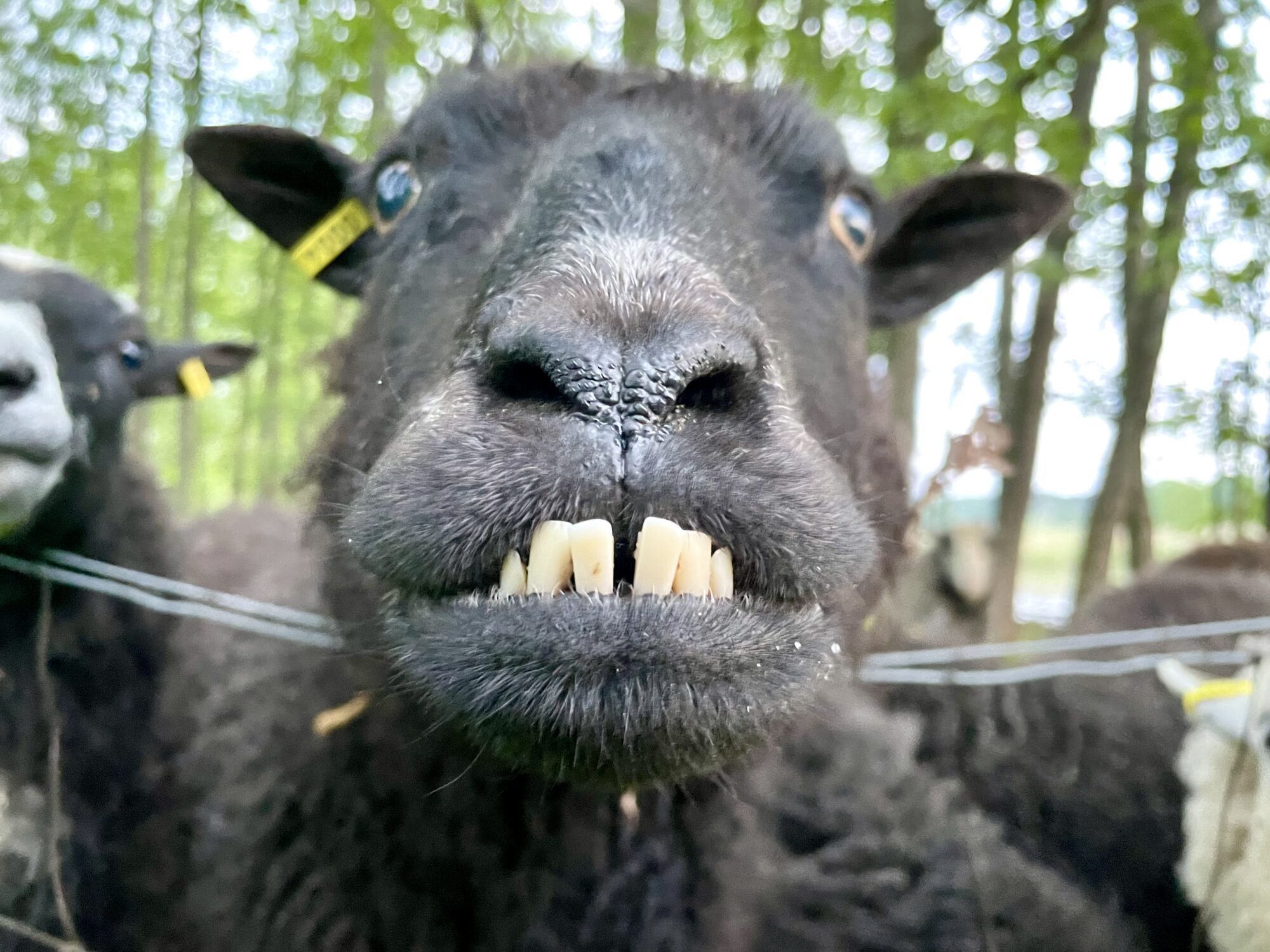 Valokuvaaja: Juhani Peltonen