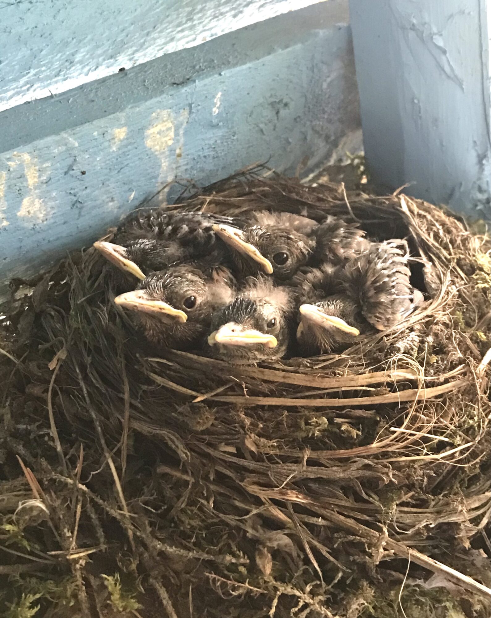 Valokuvaaja: Liisa Niiva-Korpela