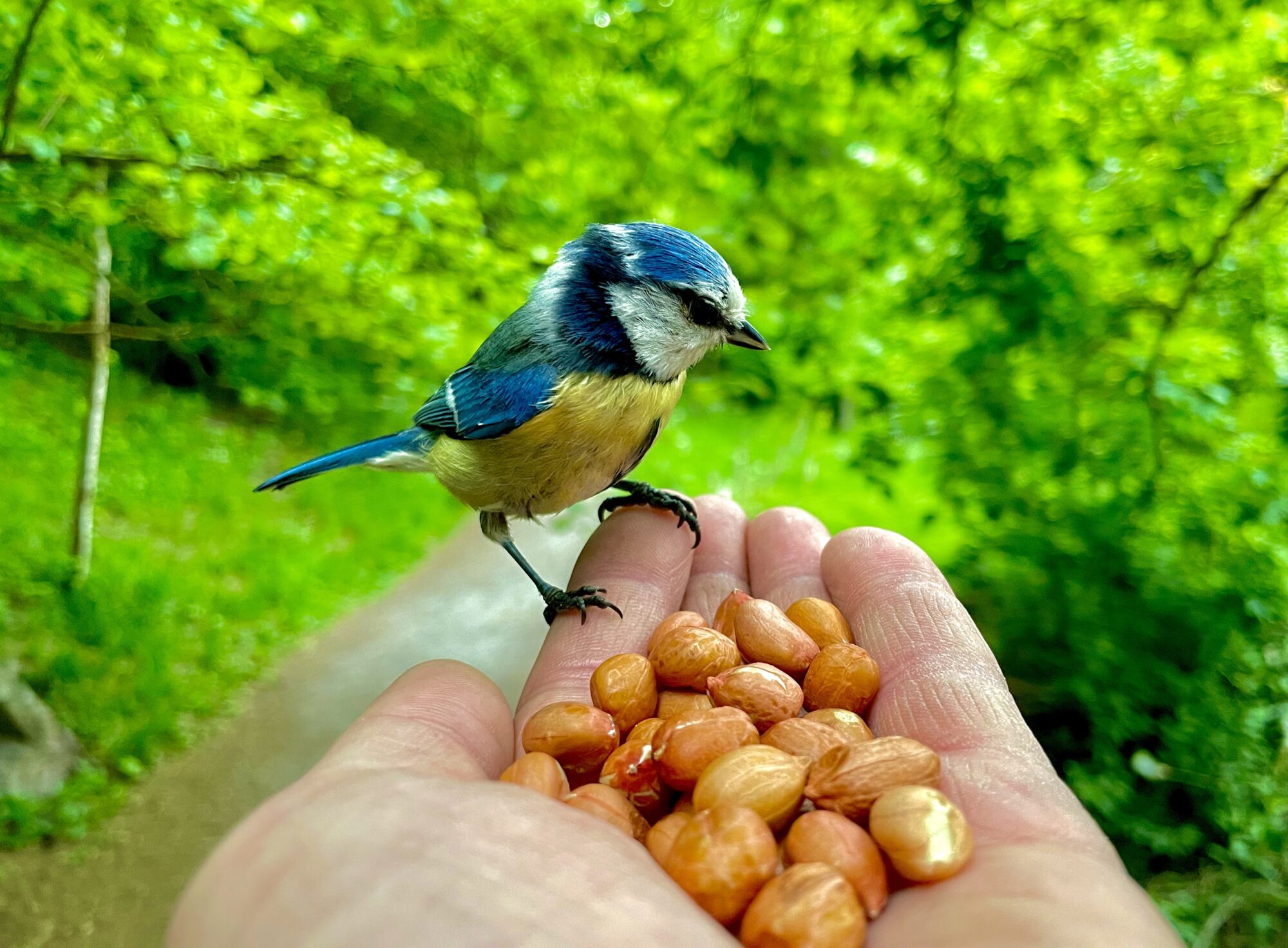 Valokuvaaja: Juhani Peltonen