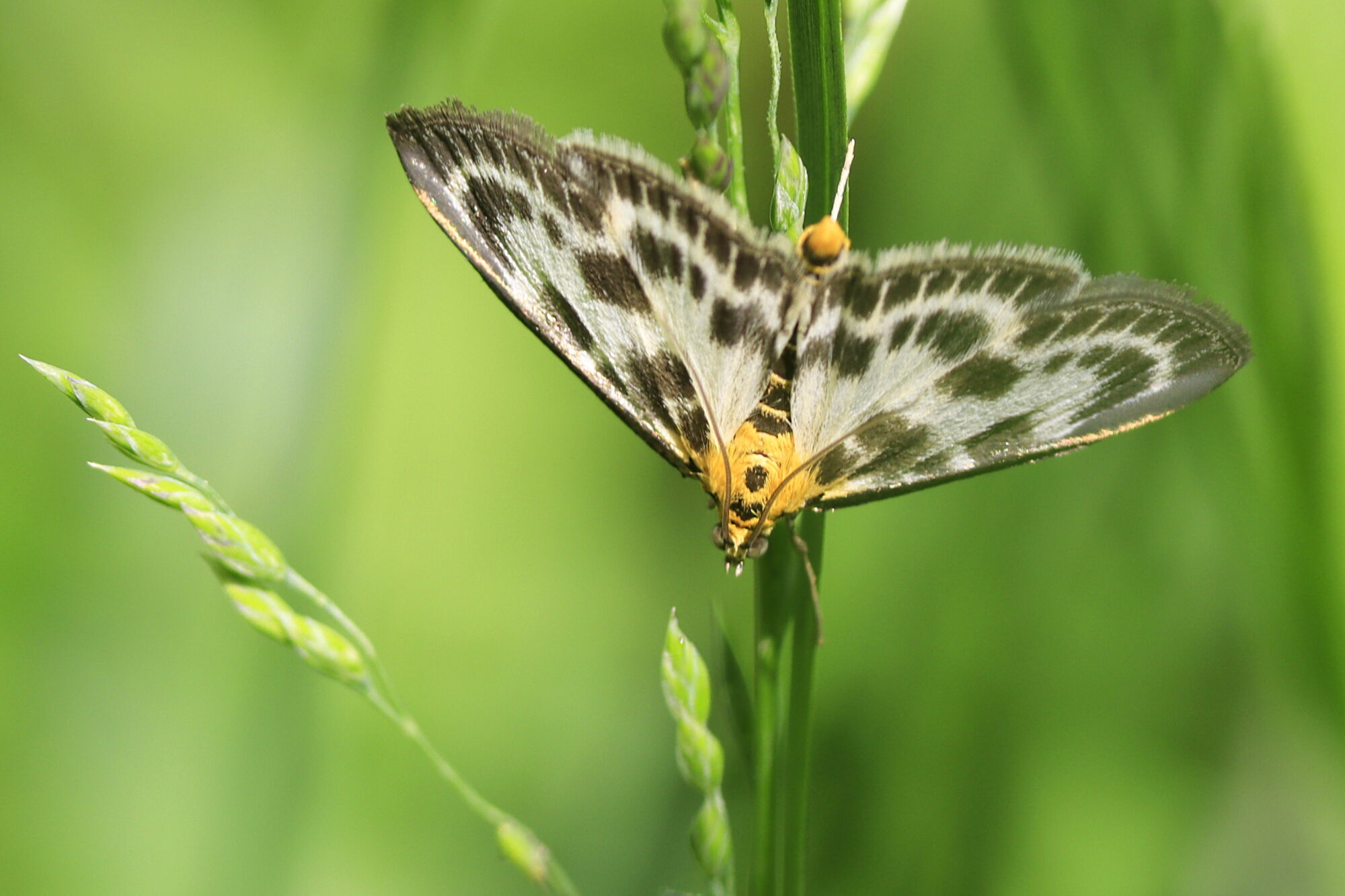 Valokuvaaja: Ritva Nieminen