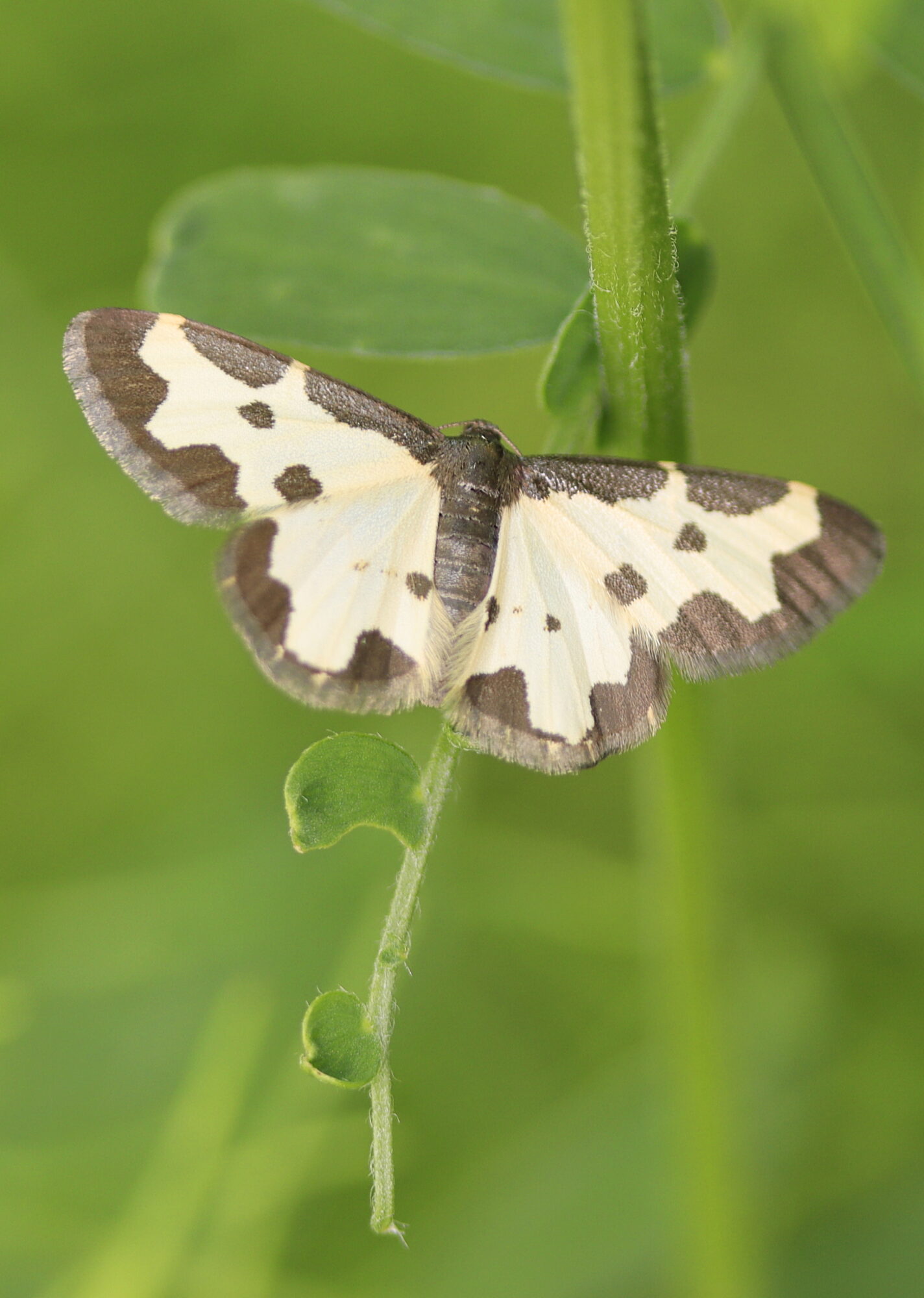 Valokuvaaja: Ritva Nieminen