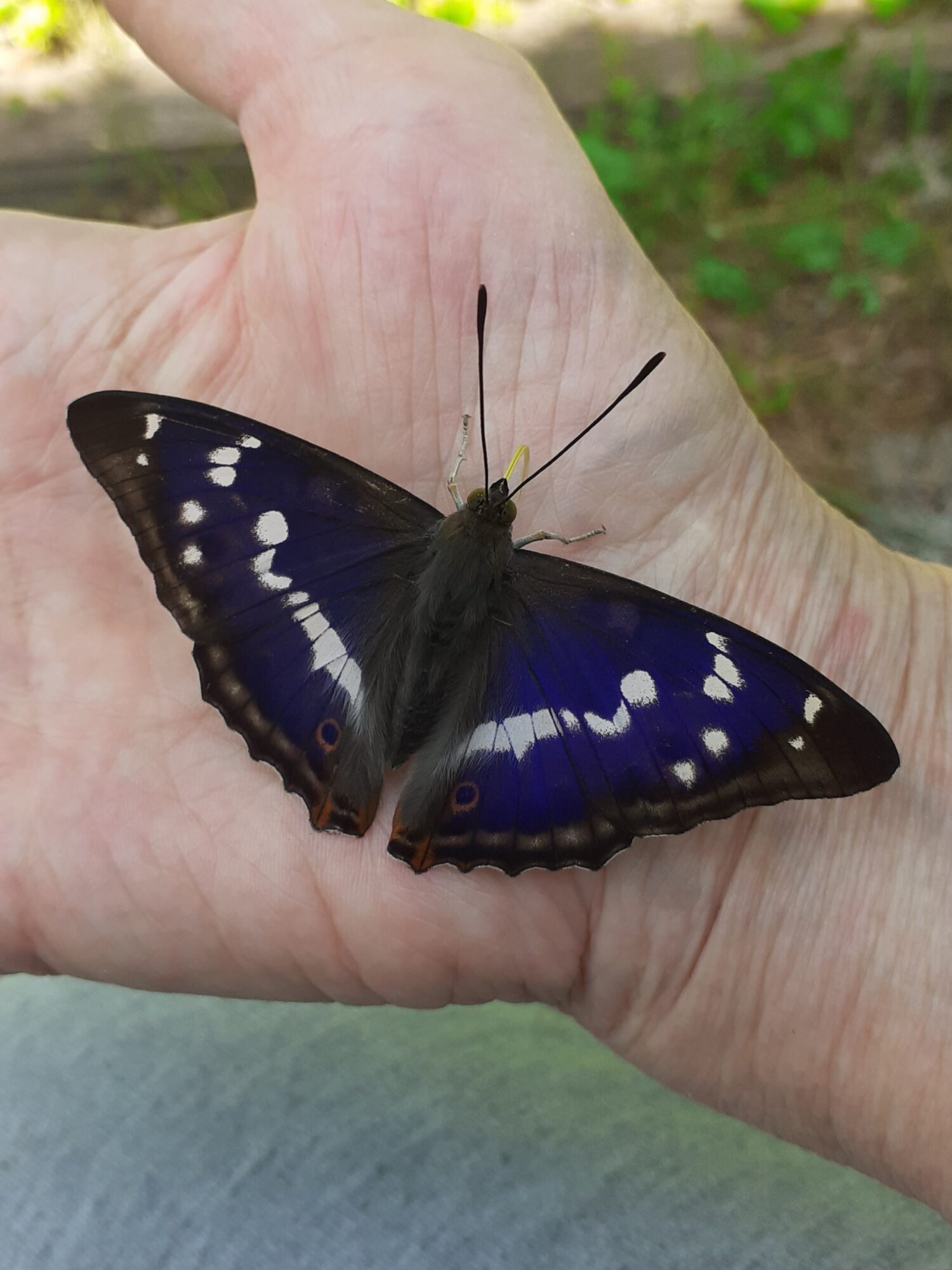 Valokuvaaja: Eeva-Liisa Ilvonen