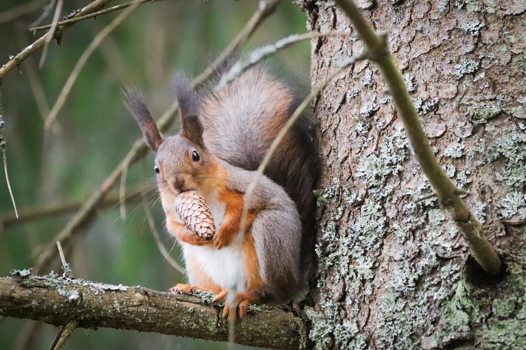 Valokuvaaja: Fanny Tuominen