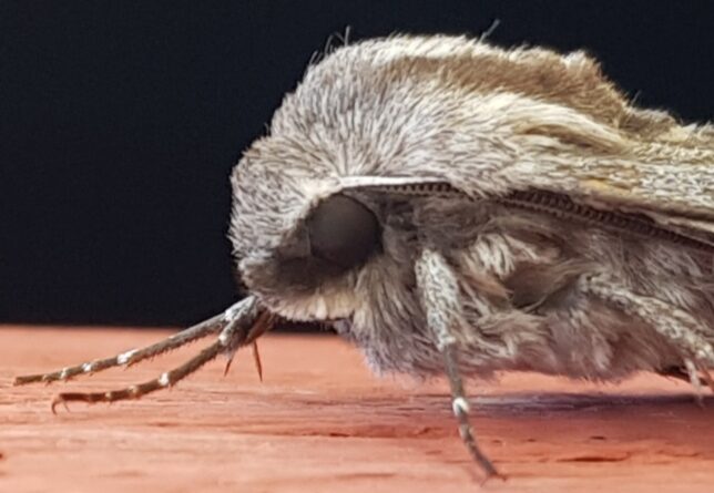 Valokuvaaja: Harry Yli-Uotila