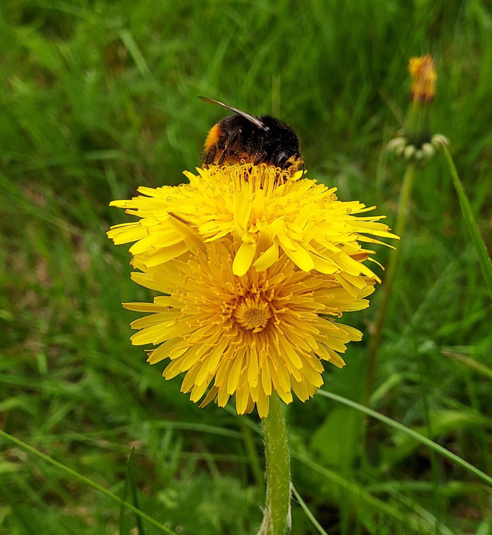 Valokuvaaja: Eija Johanna Saastamoinen