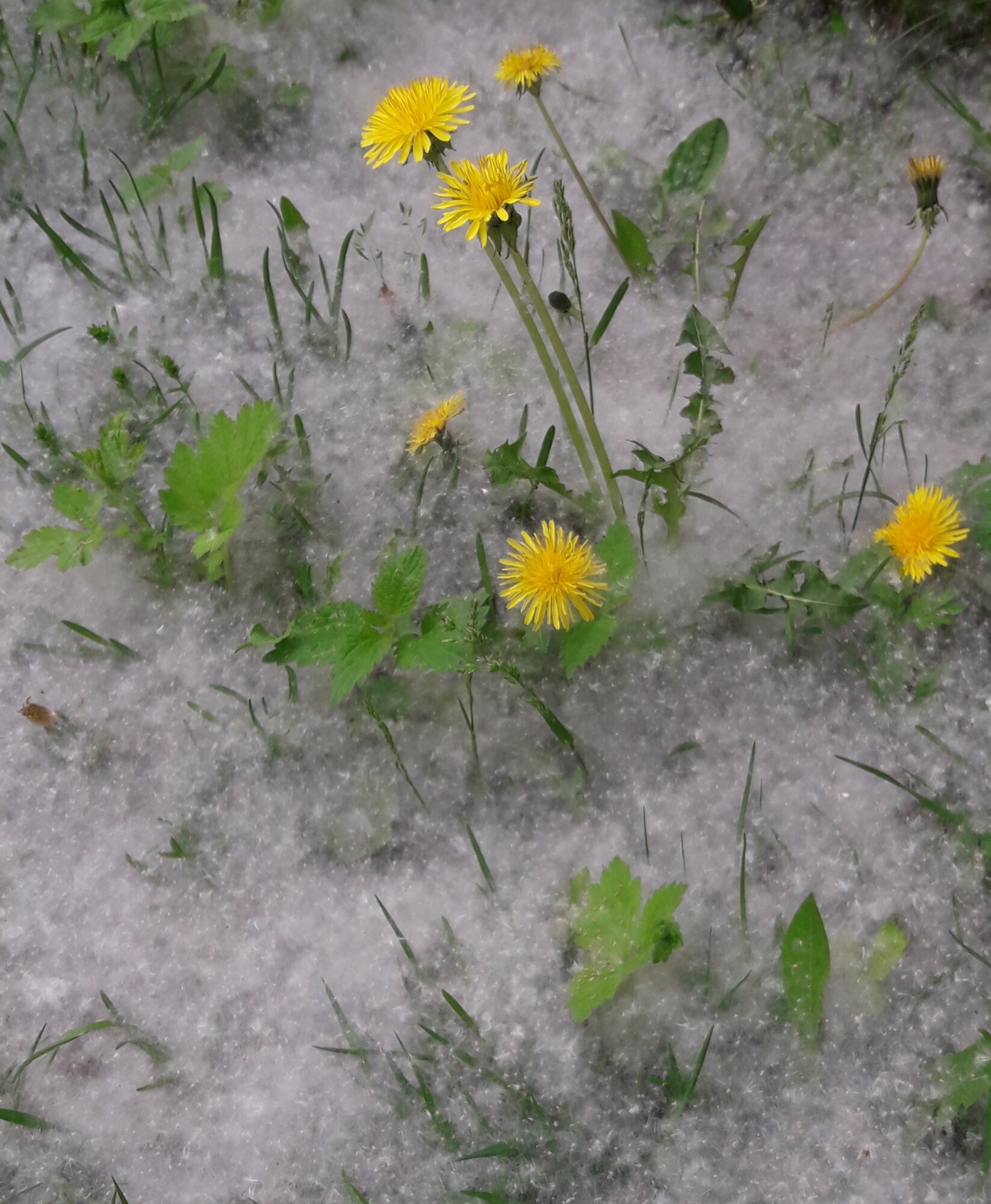 Valokuvaaja: Elisa Pöyhönen