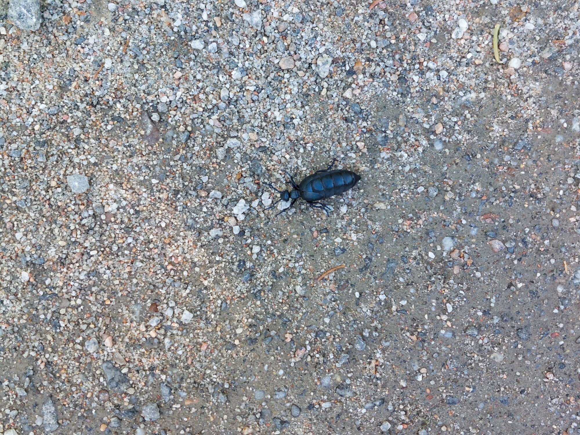 Valokuvaaja: Luukas Laiho