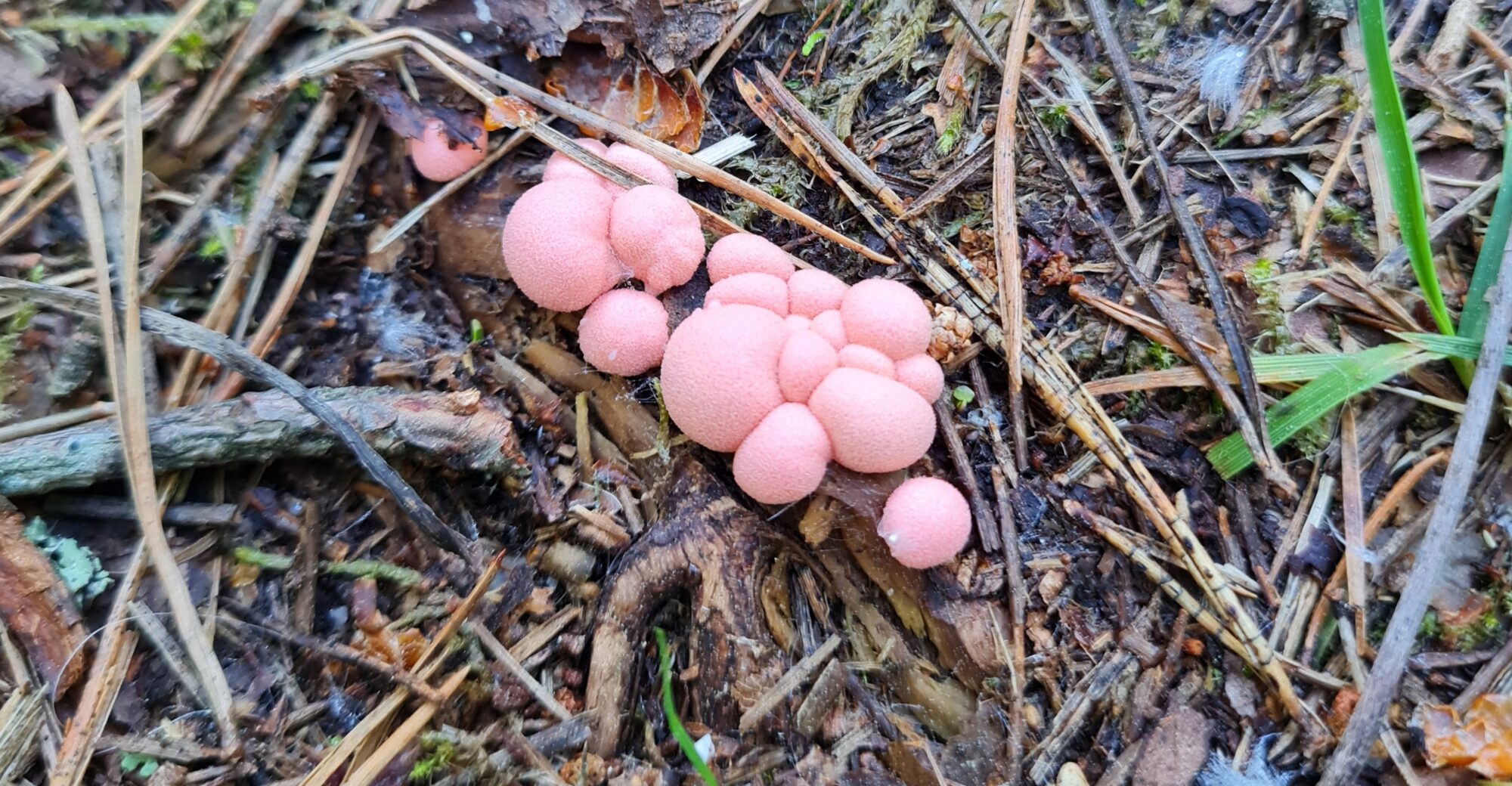 Valokuvaaja: Teija Aaltonen