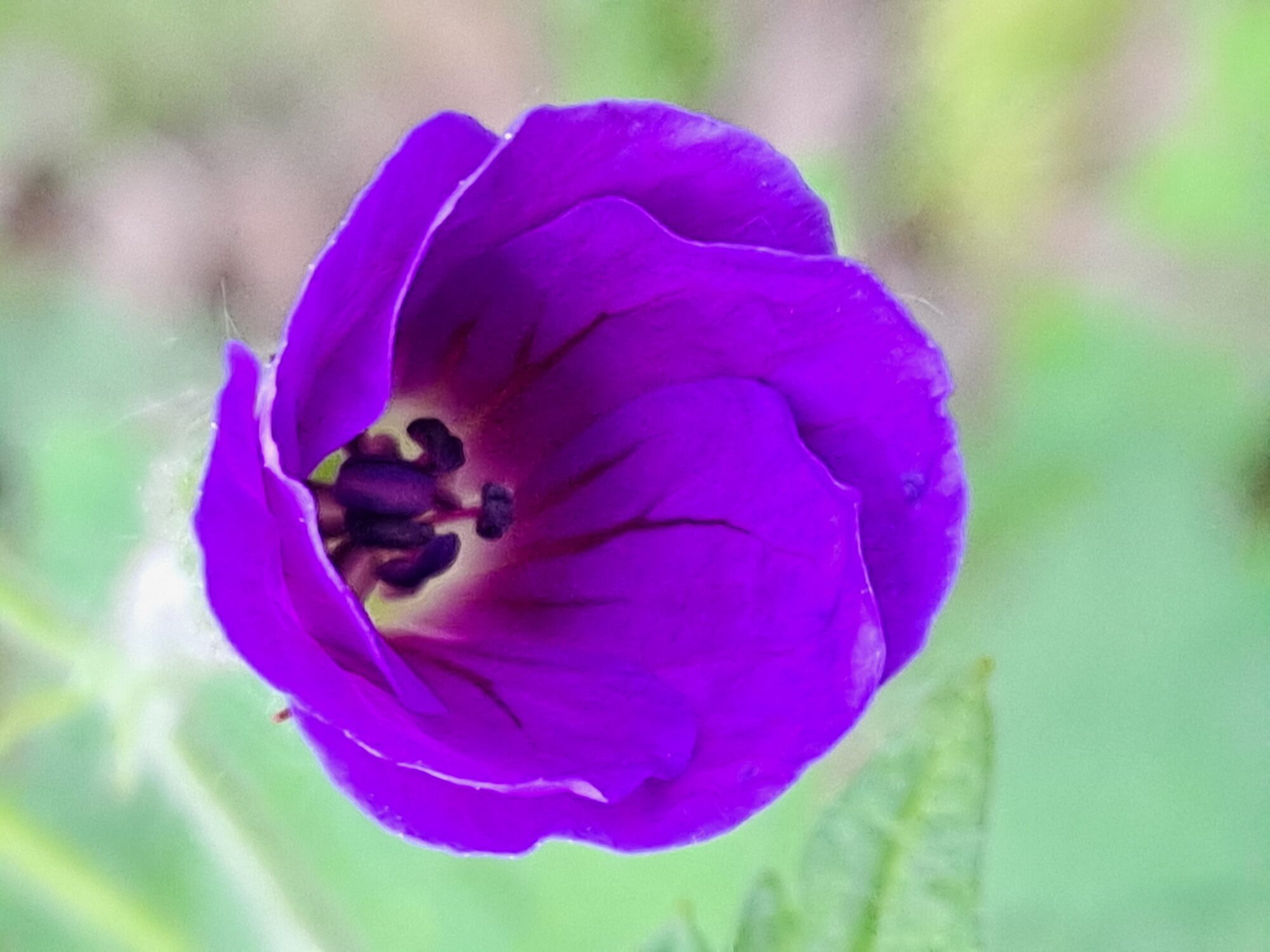 Valokuvaaja: Satu Suuntala