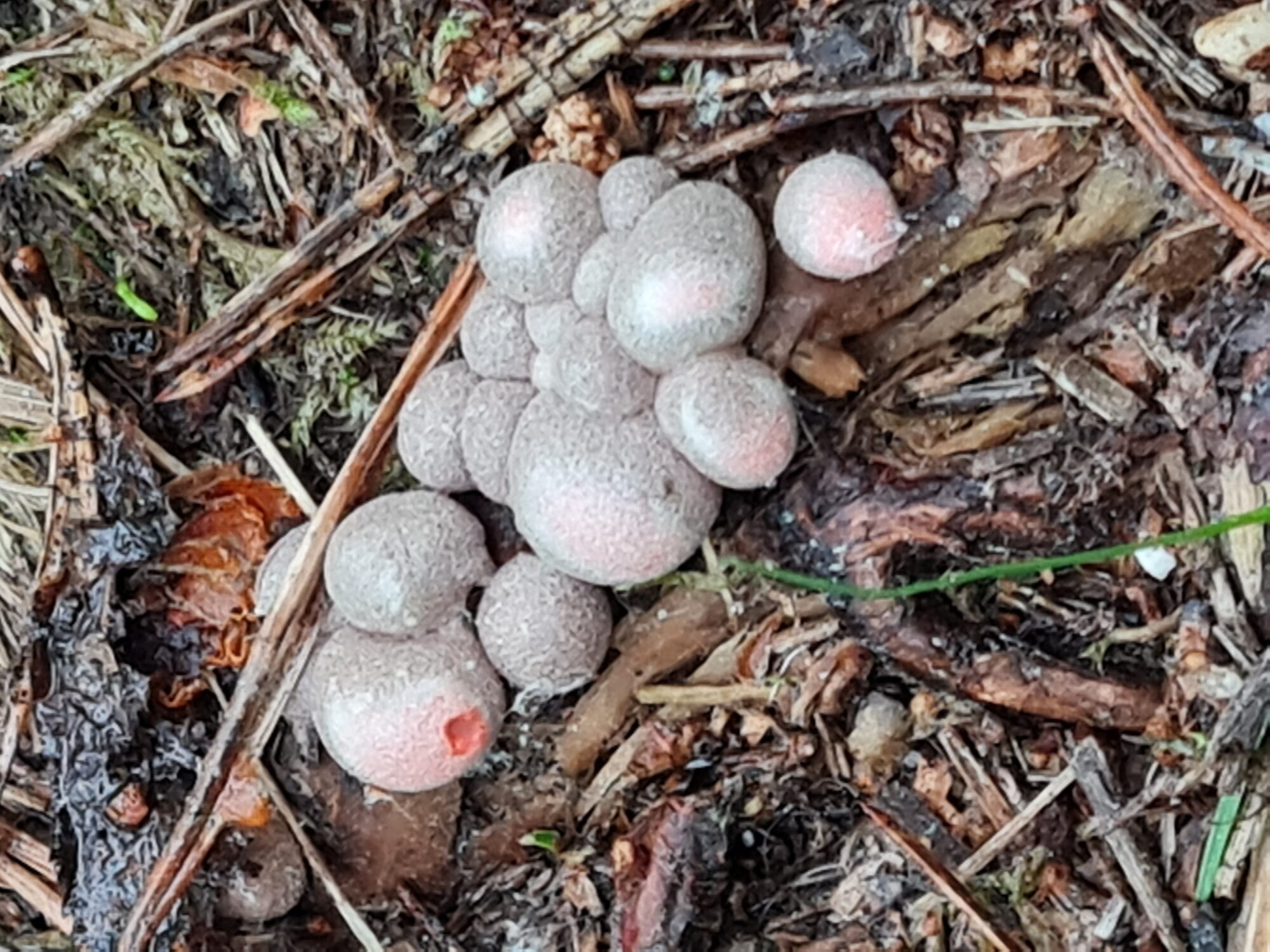 Valokuvaaja: Teija Aaltonen