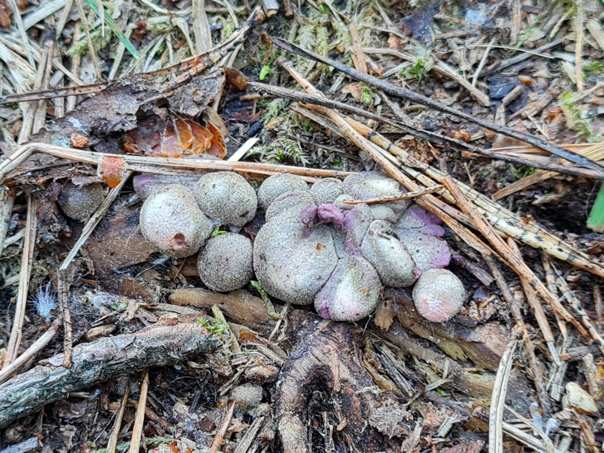 Valokuvaaja: Teija Aaltonen