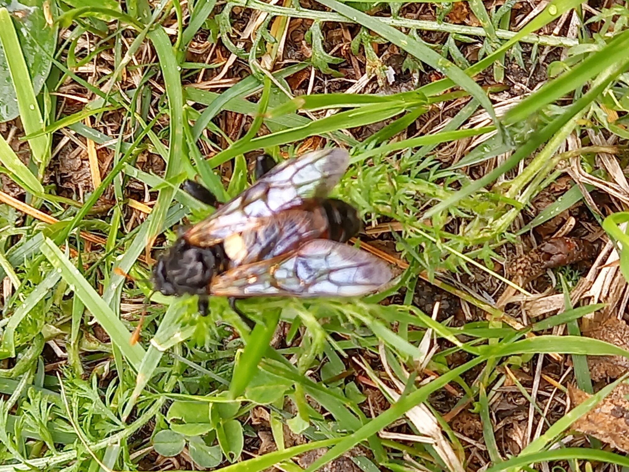 Valokuvaaja: Mari Kanto