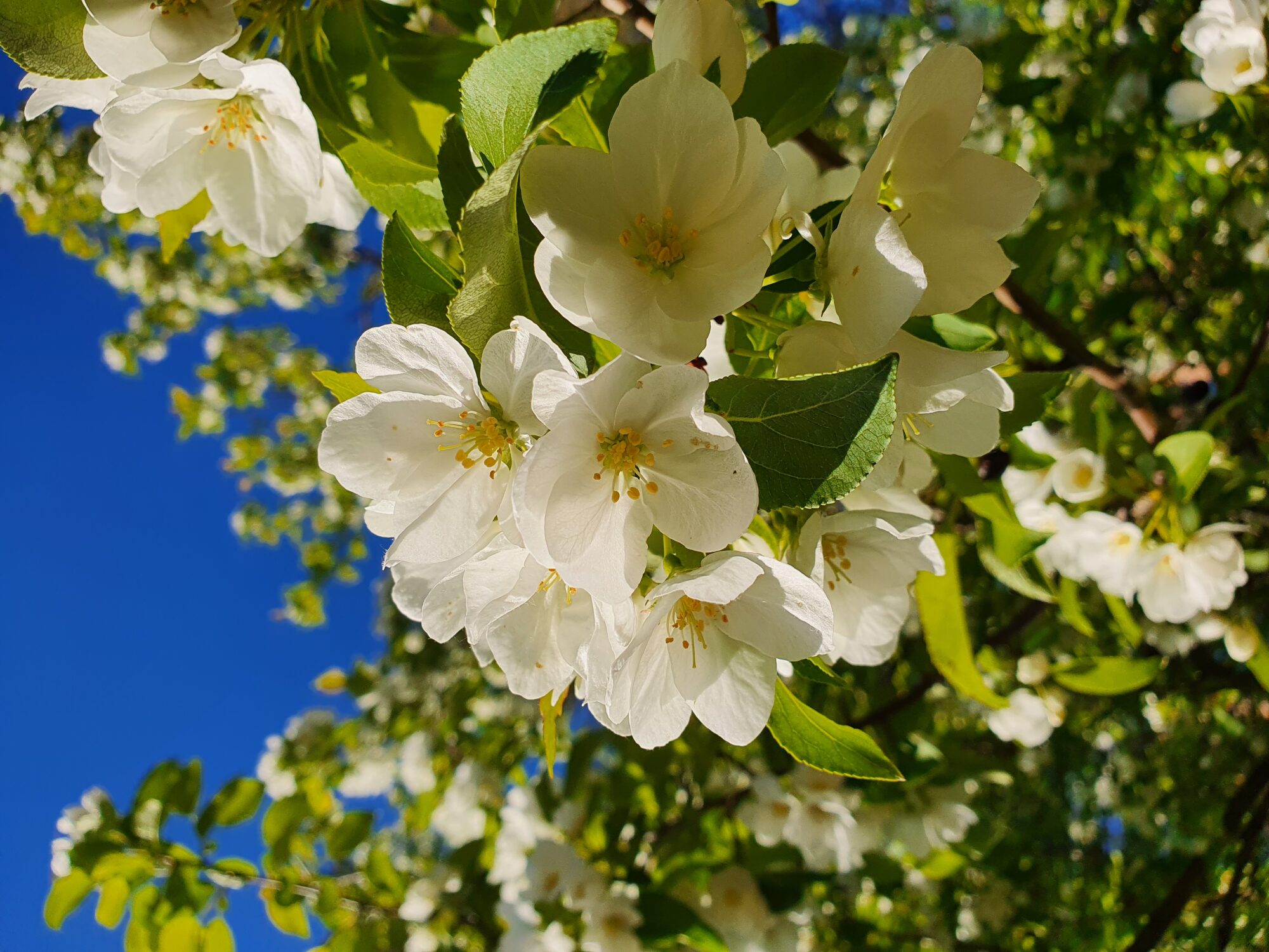 Valokuvaaja: Lilja Kemppainen