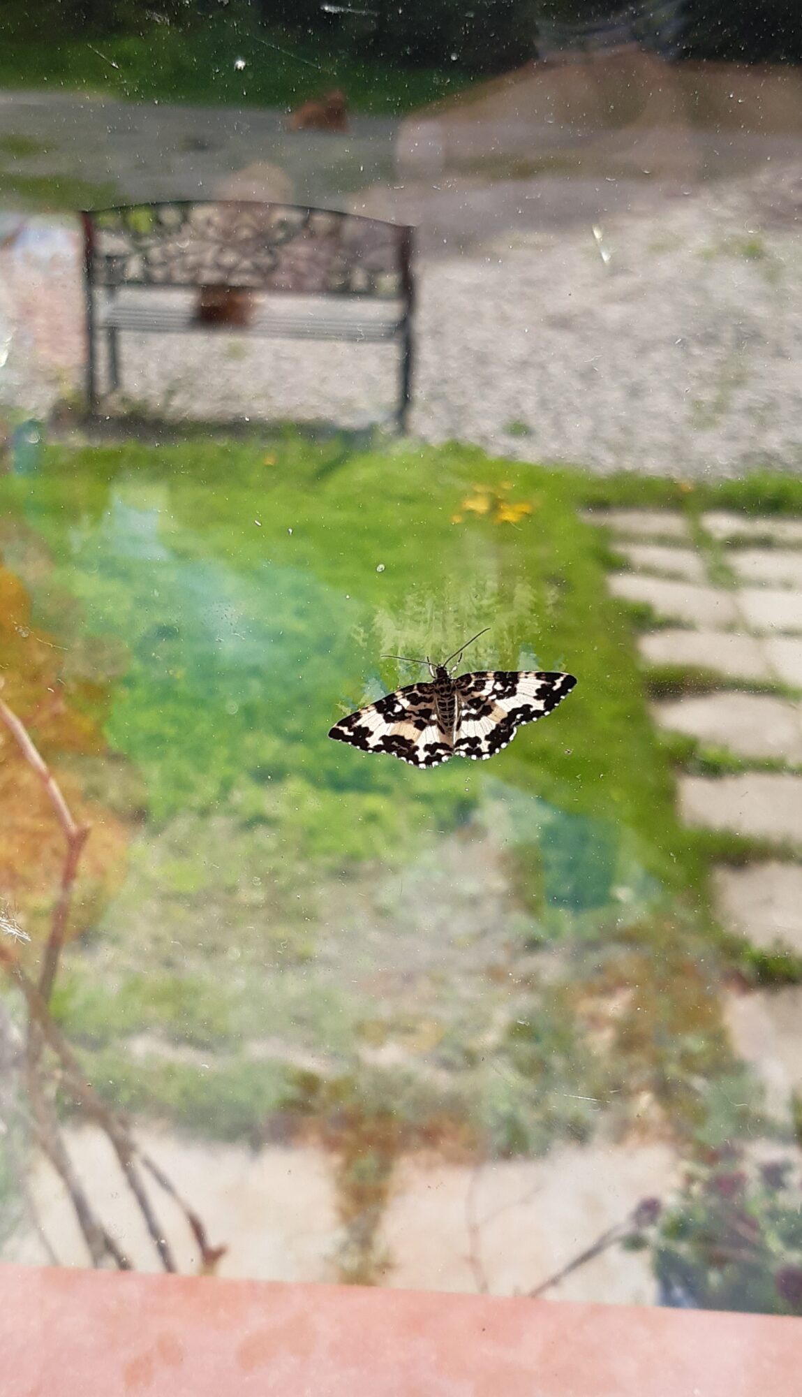 Valokuvaaja: Tarja Liinamaa Valokuvaaja: Tarja Liinamaa