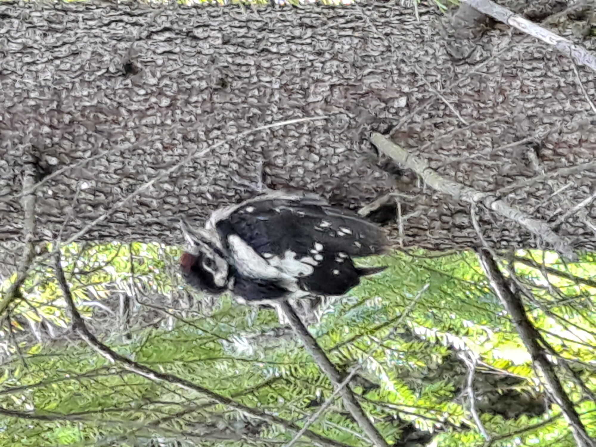 Valokuvaaja: Satu Suuntala