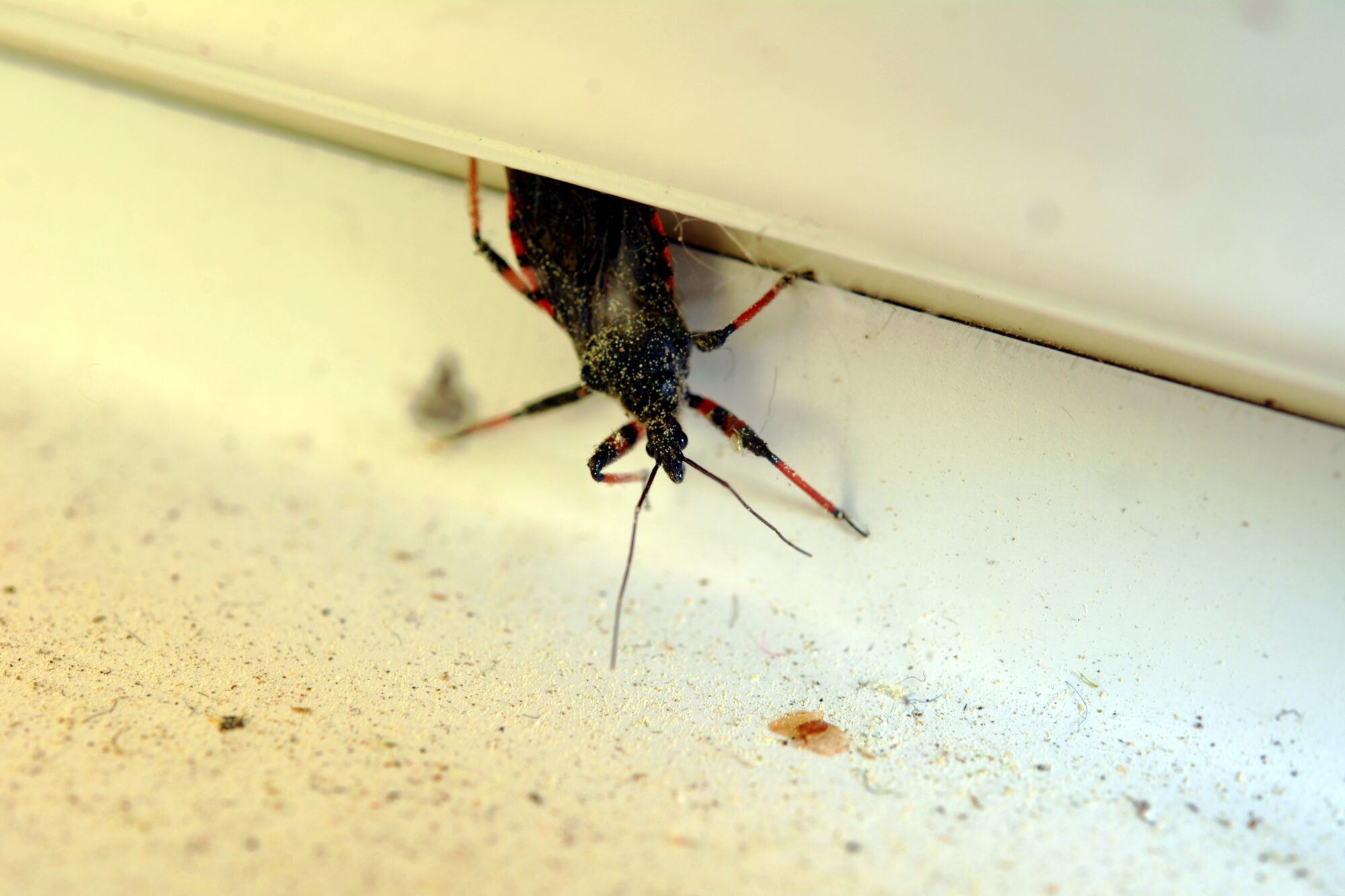 Valokuvaaja: Harry Yli-Uotila Valokuvaaja: Harry Yli-Uotila