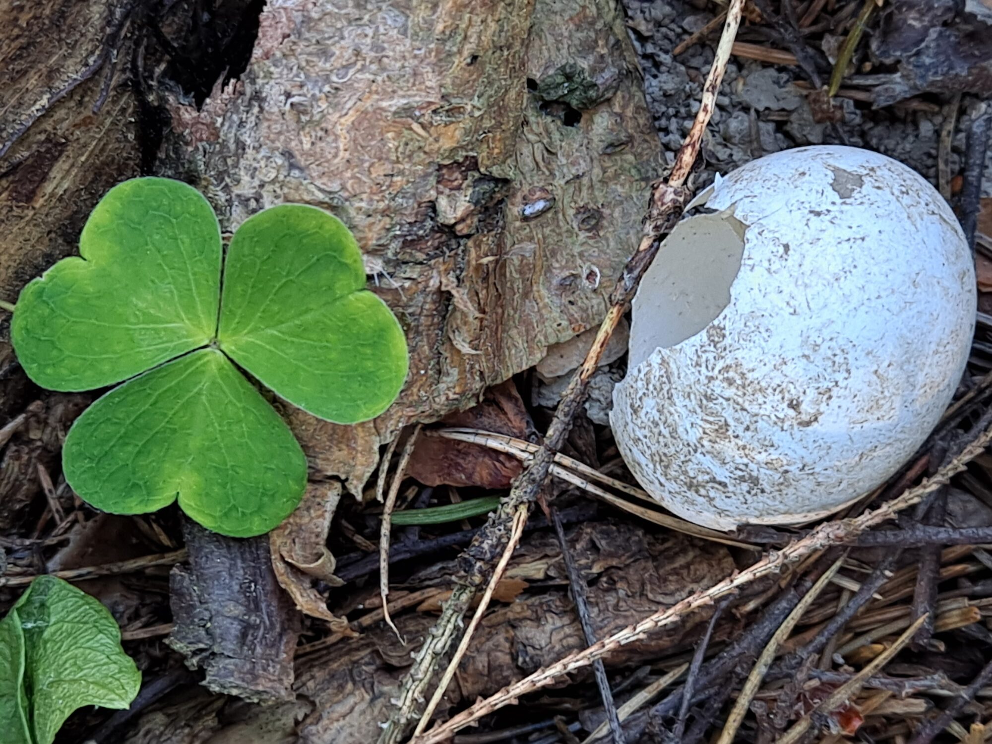 Valokuvaaja: Satu Suuntala Valokuvaaja: Satu Suuntala