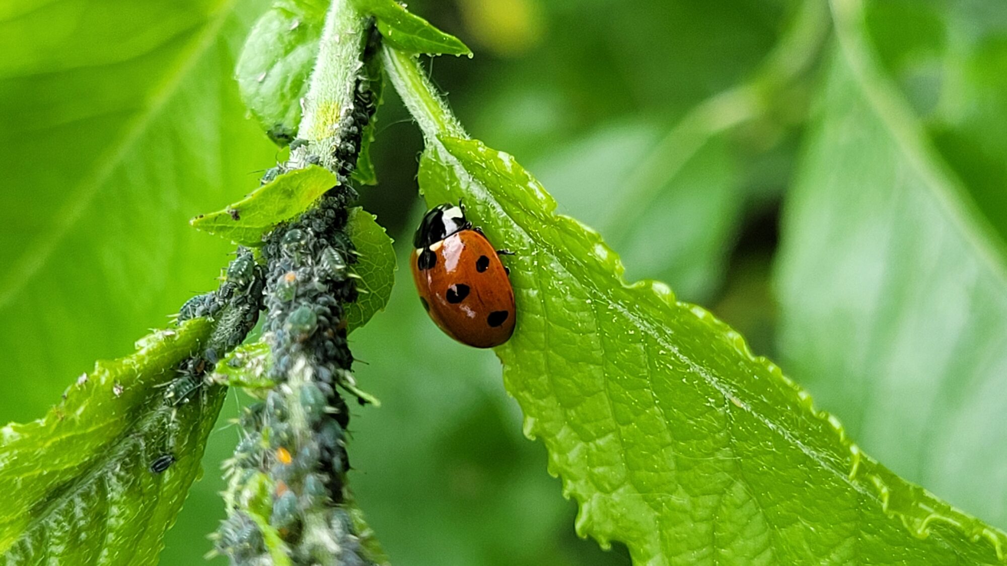 Valokuvaaja: Sakari Palmio Valokuvaaja: Sakari Palmio