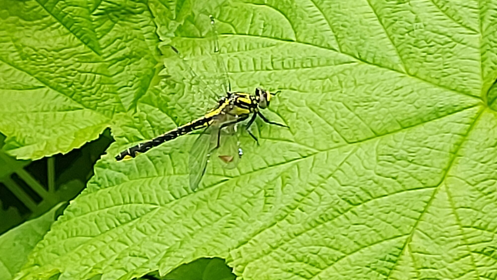 Valokuvaaja: Tatu Hakala