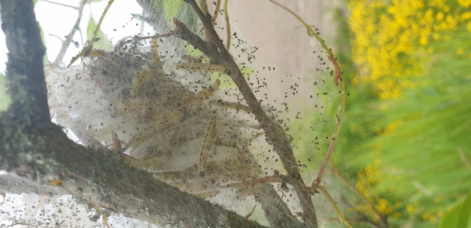 Valokuvaaja: Harry Yli-Uotila