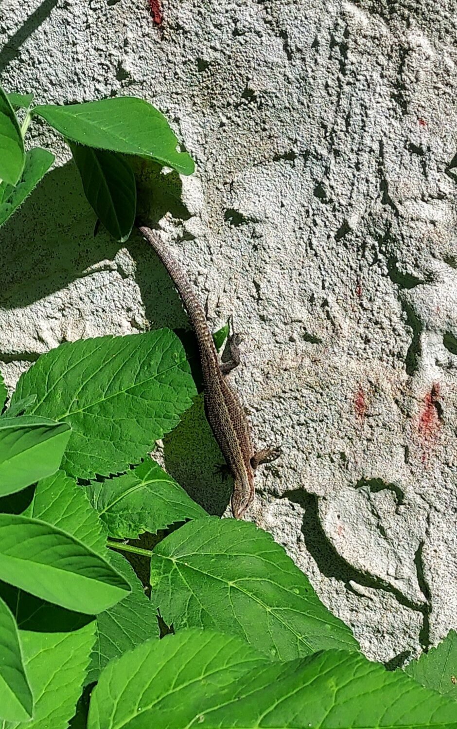 Valokuvaaja: Eija Johanna Saastamoinen