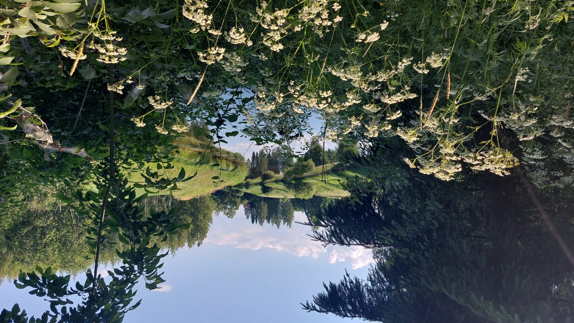 Valokuvaaja: Susanna Hannula