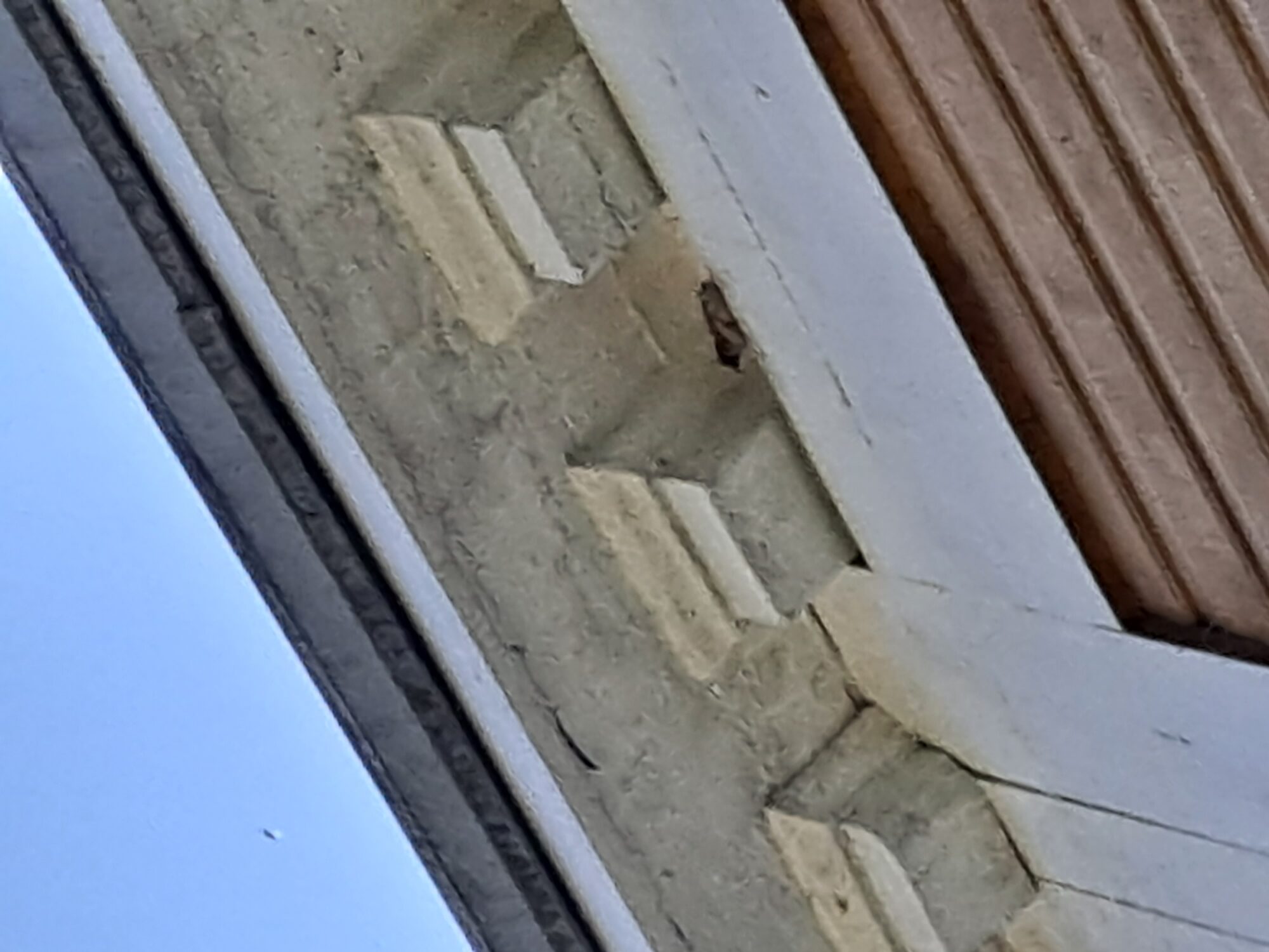 Valokuvaaja: Satu Suuntala