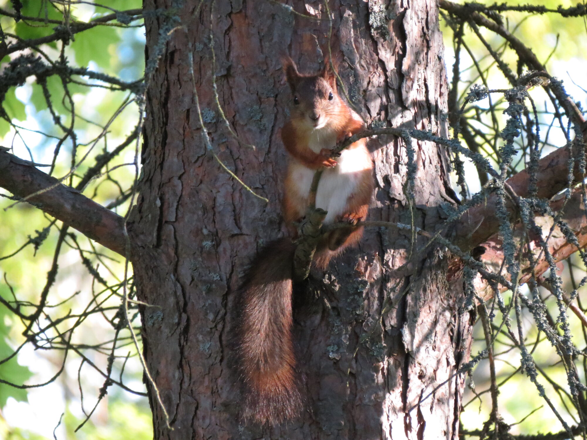 Valokuvaaja: Elina Vuorimaa-Laukkanen