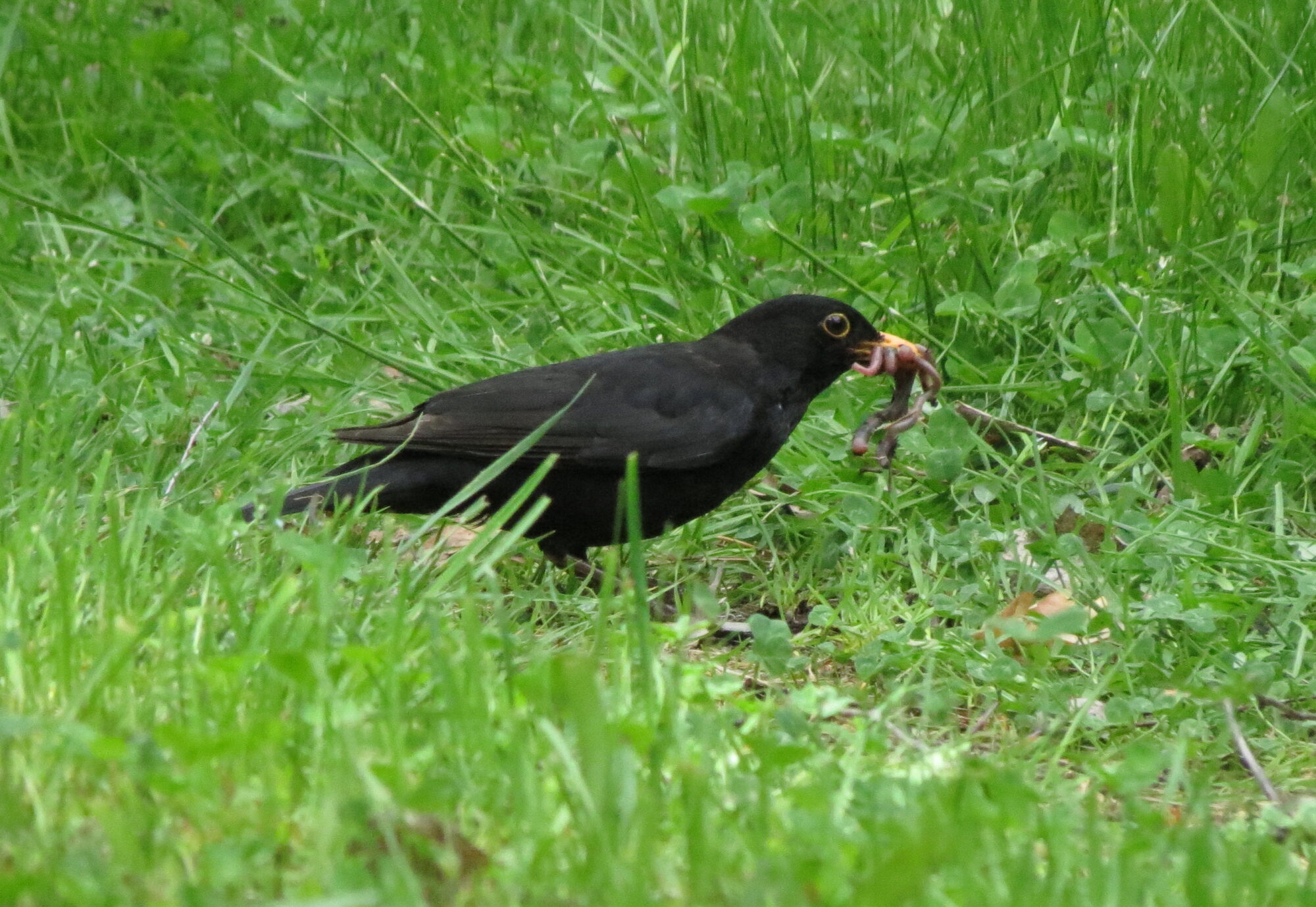 Valokuvaaja: Elina Vuorimaa-Laukkanen