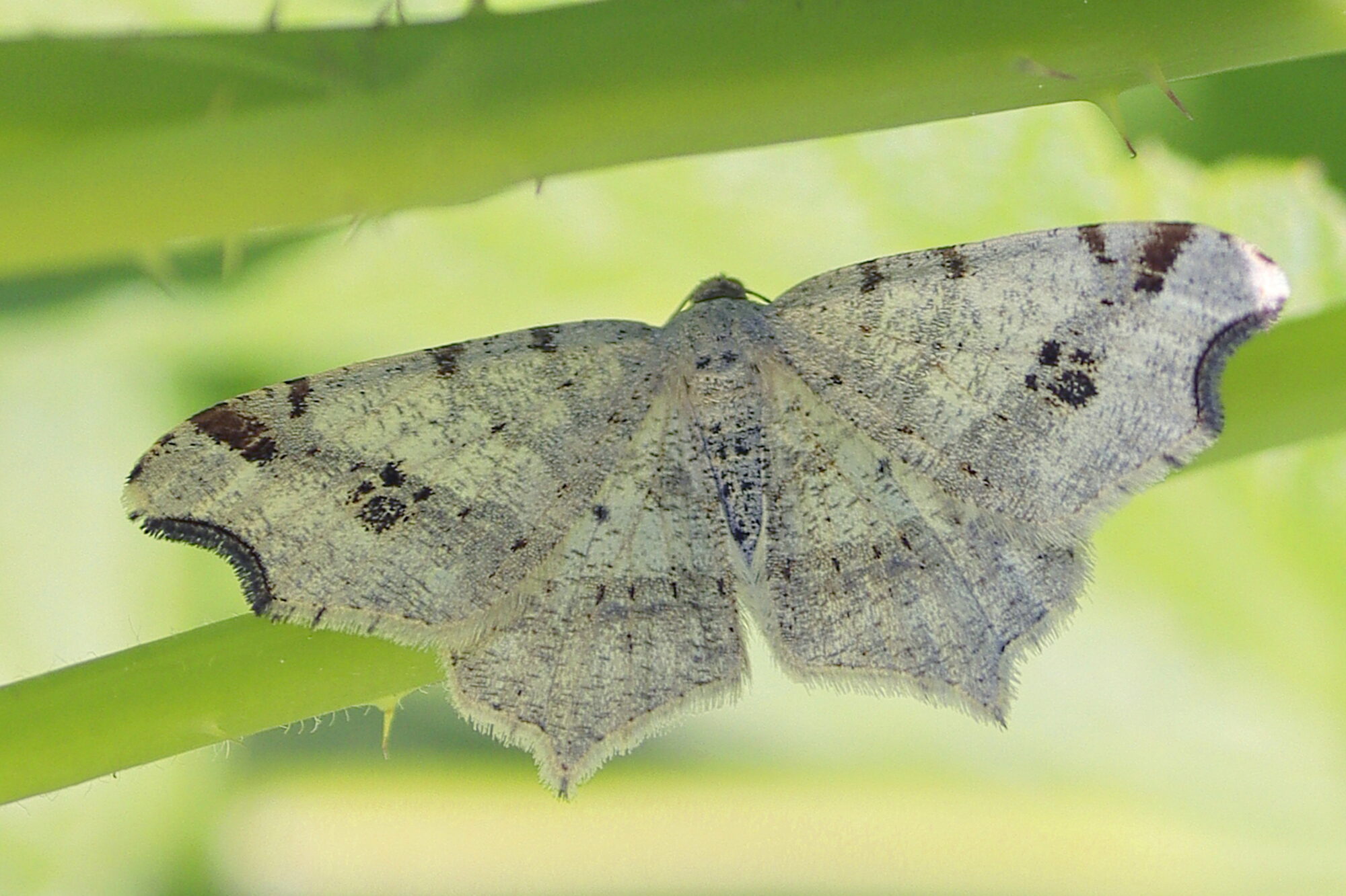 Valokuvaaja: Ritva Nieminen Valokuvaaja: Ritva Nieminen