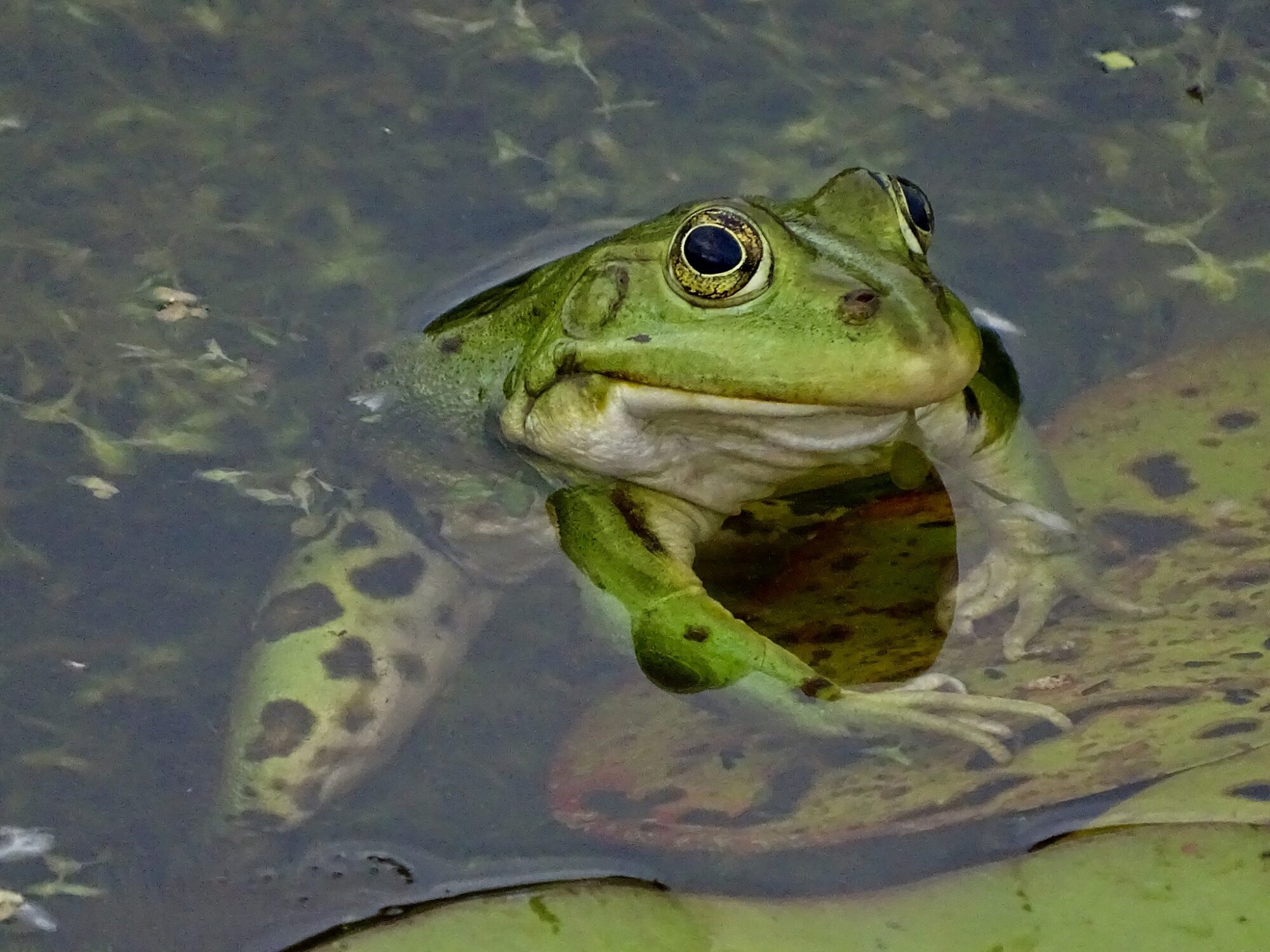 Valokuvaaja: Juhani Peltonen