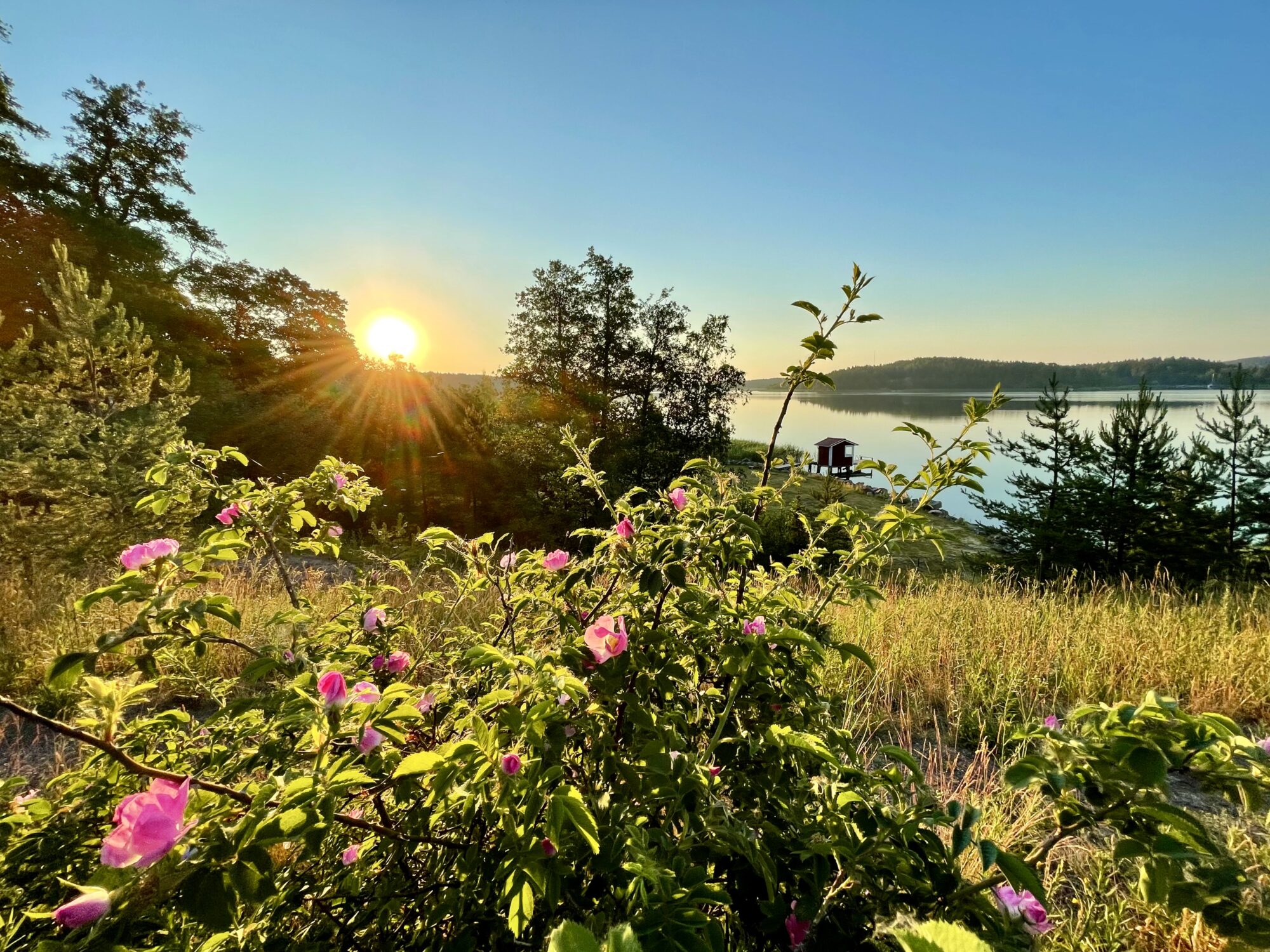 Valokuvaaja: Juhani Peltonen