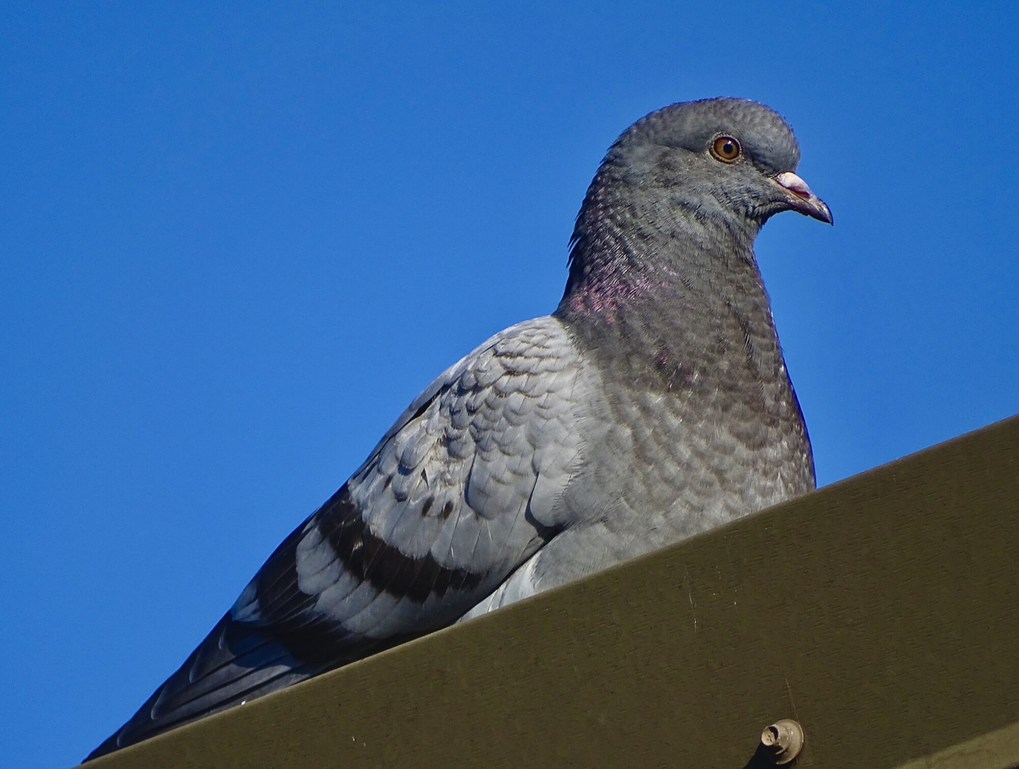 Valokuvaaja: Juhani Peltonen Valokuvaaja: Juhani Peltonen