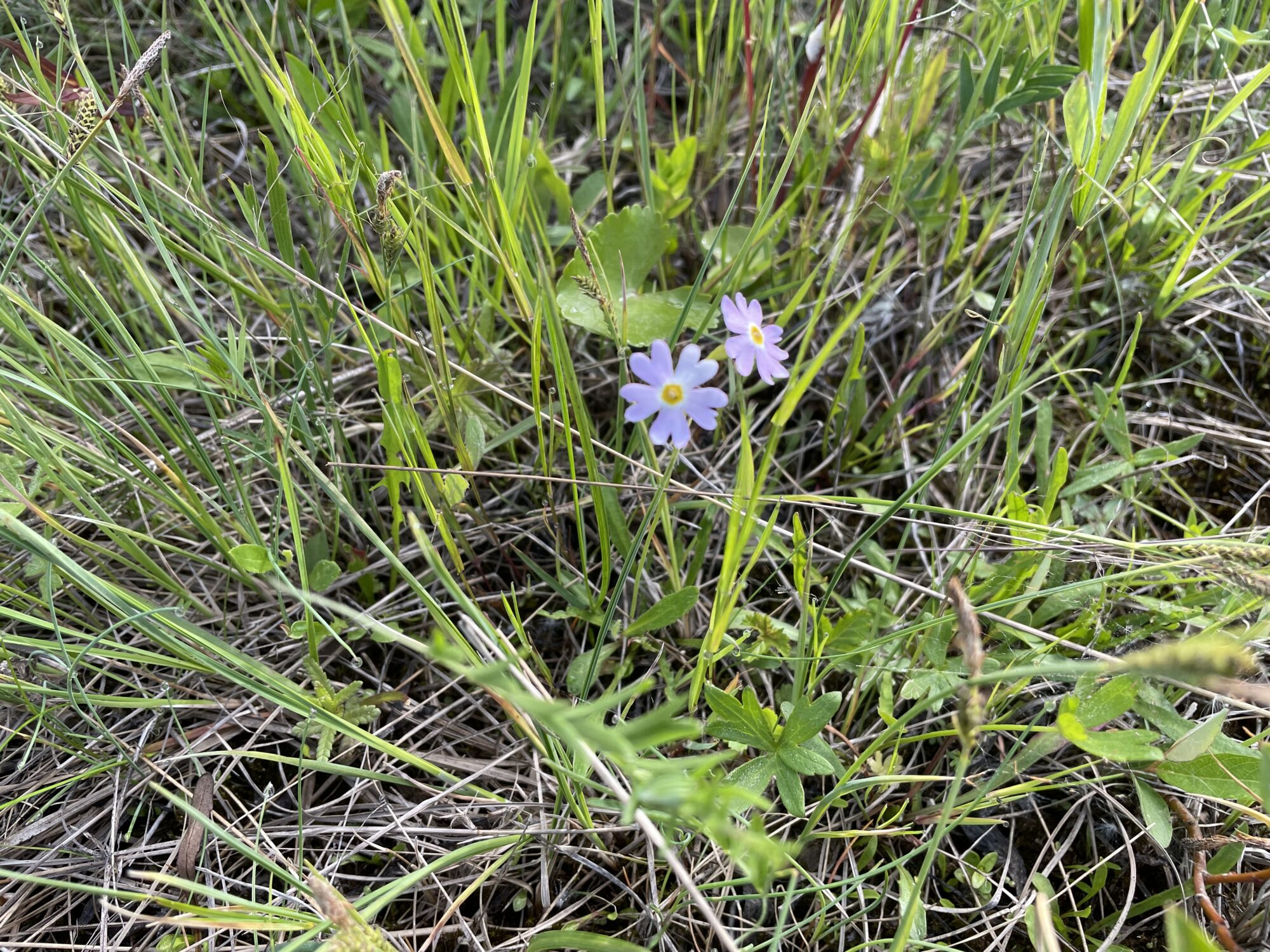 Valokuvaaja: Timo Lokkila