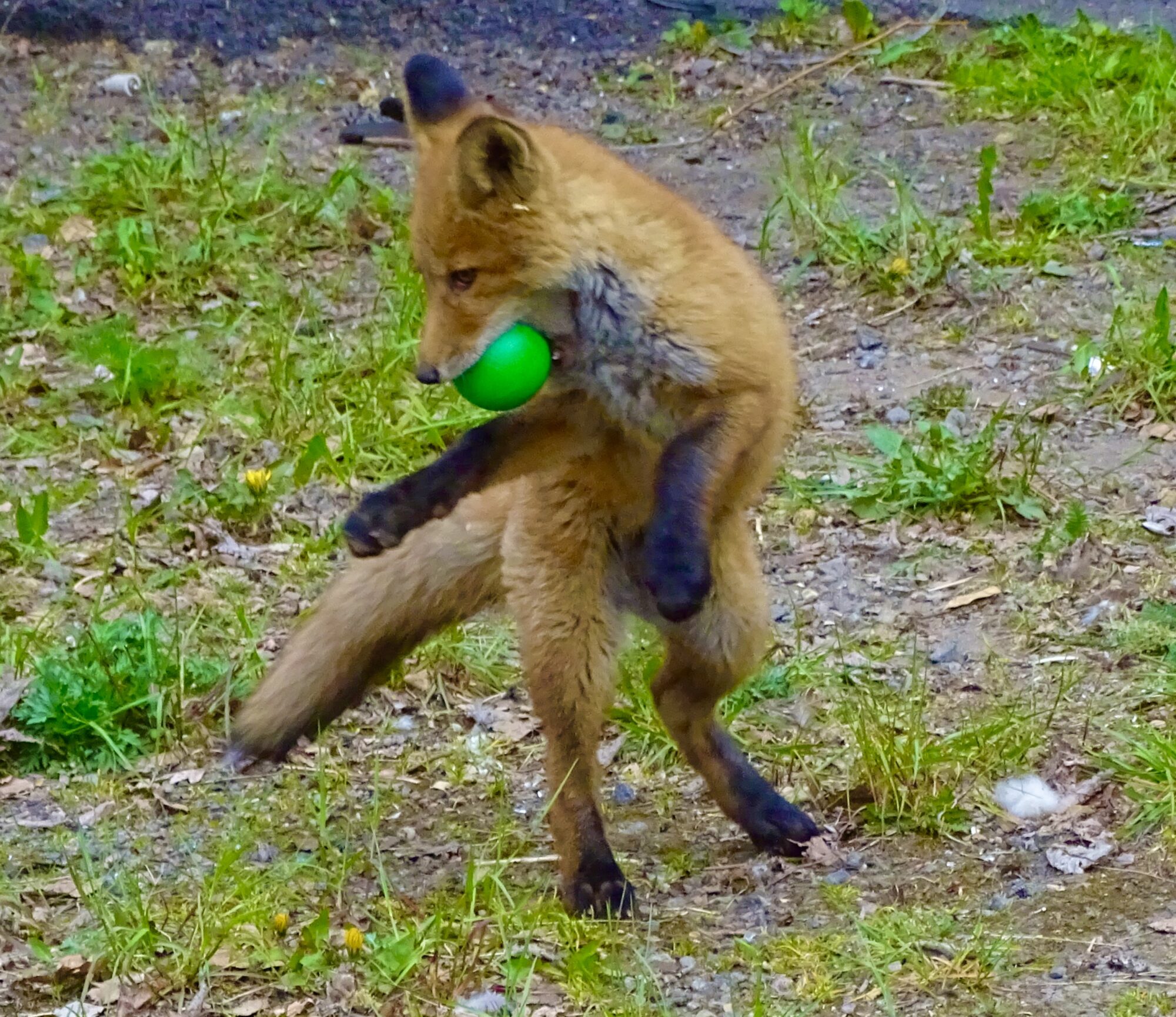 Valokuvaaja: Juhani Peltonen