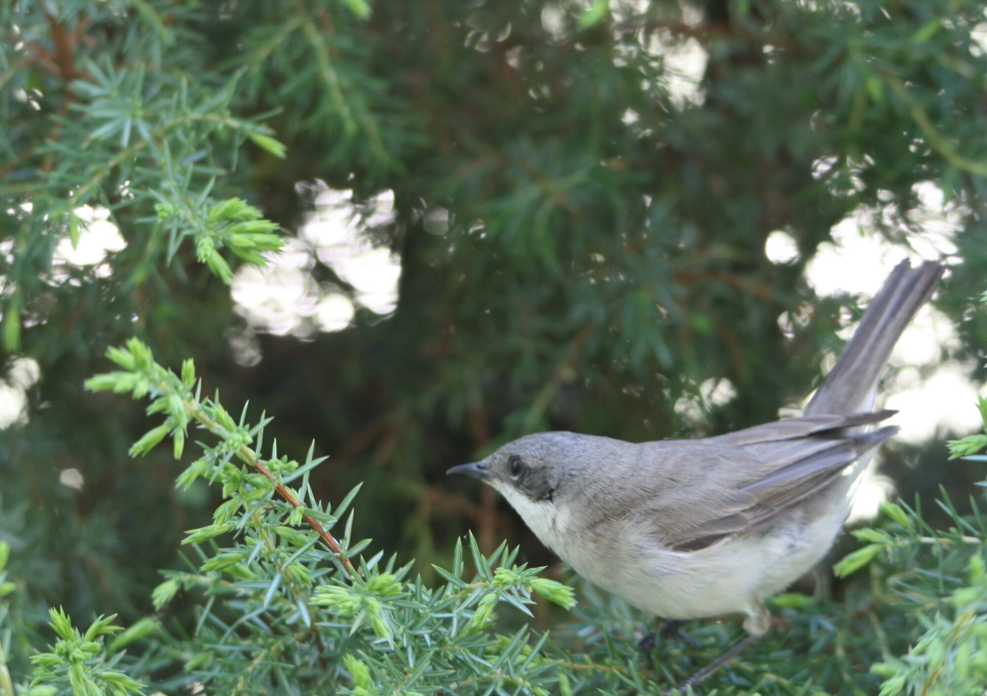 Valokuvaaja: Marjatta Yijälä