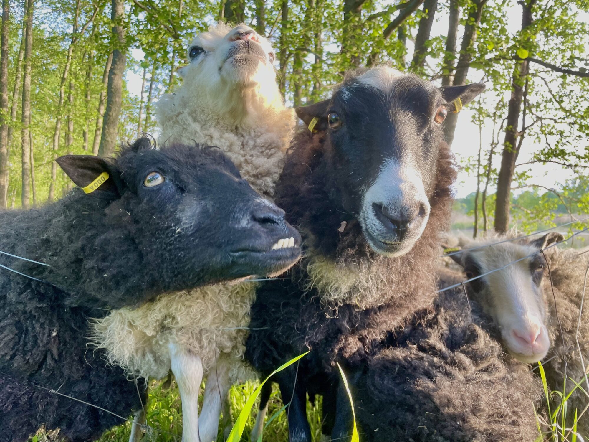 Valokuvaaja: Juhani Peltonen