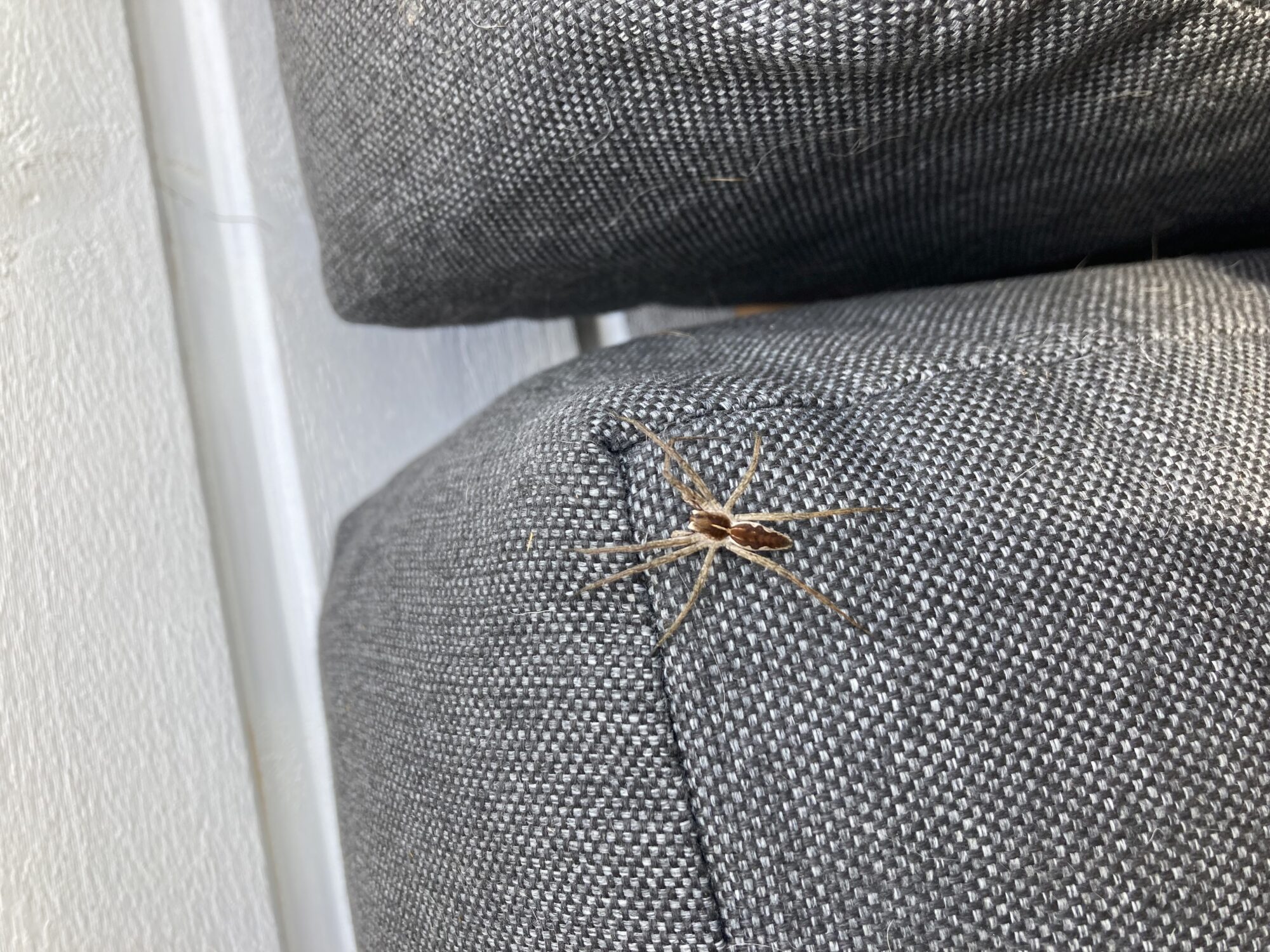 Valokuvaaja: Henna Koistinen